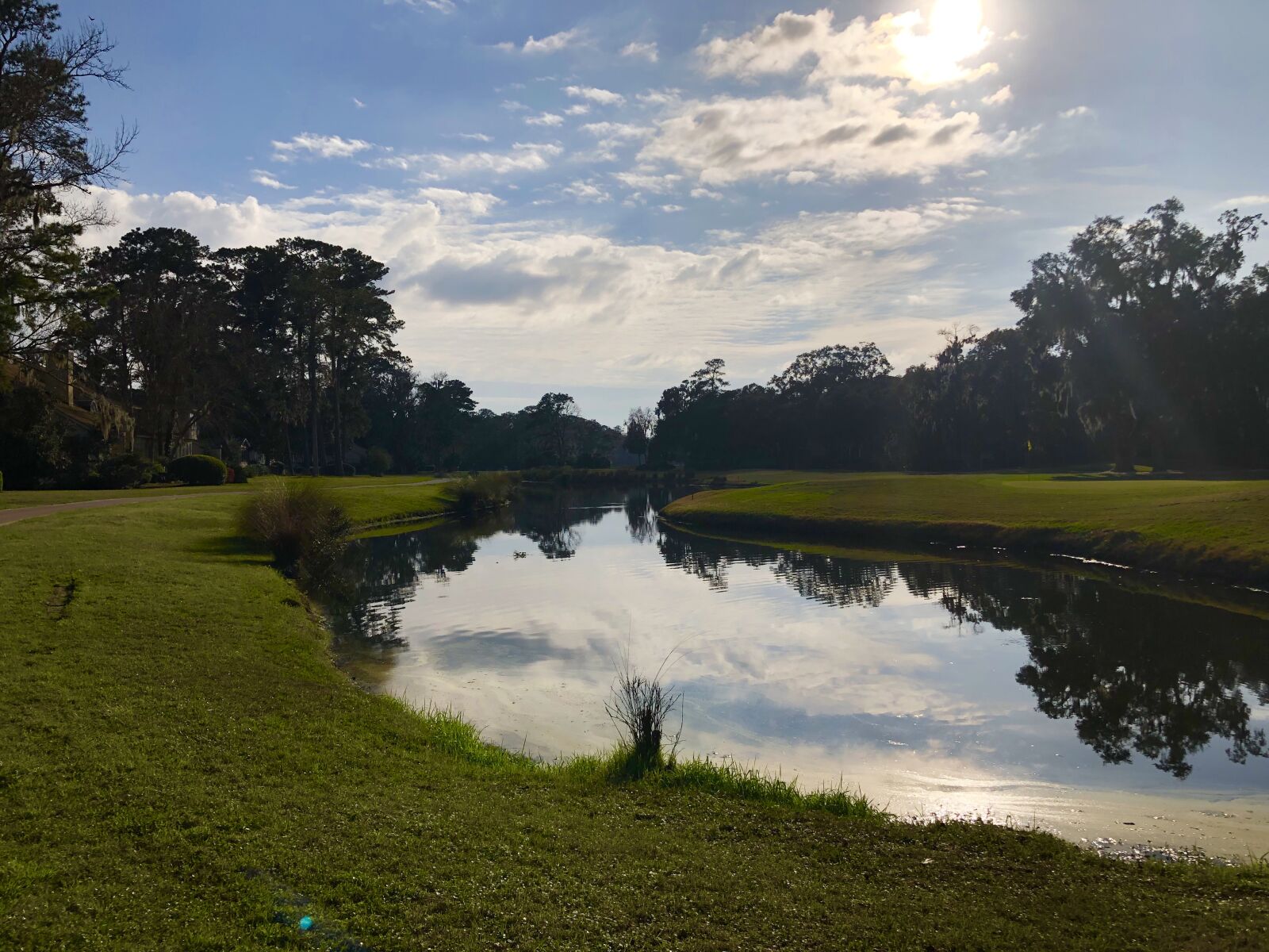 iPhone 8 Plus back dual camera 3.99mm f/1.8 sample photo. Golf, sky, greenery photography