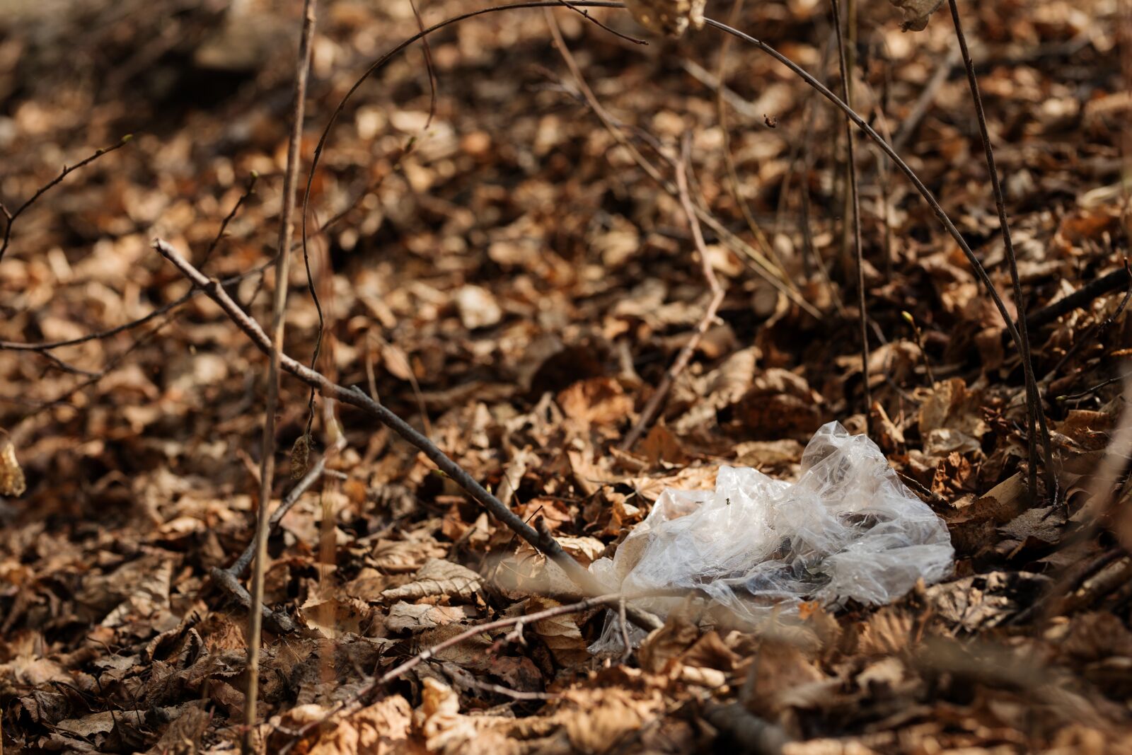 Canon EOS 6D Mark II sample photo. Nature, garbage, pollution photography