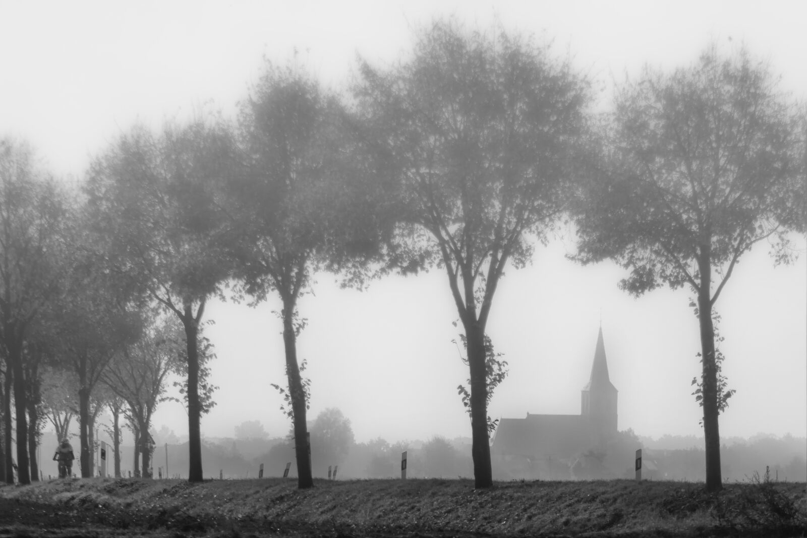 Canon EOS 50D sample photo. Fog, niederrhein, kath photography