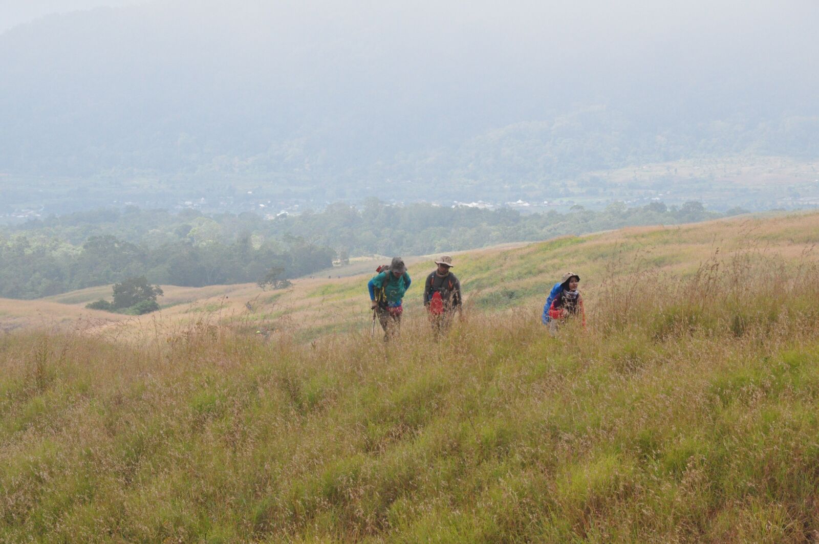 Nikon D90 sample photo. Trekking, lombok, rinjani photography