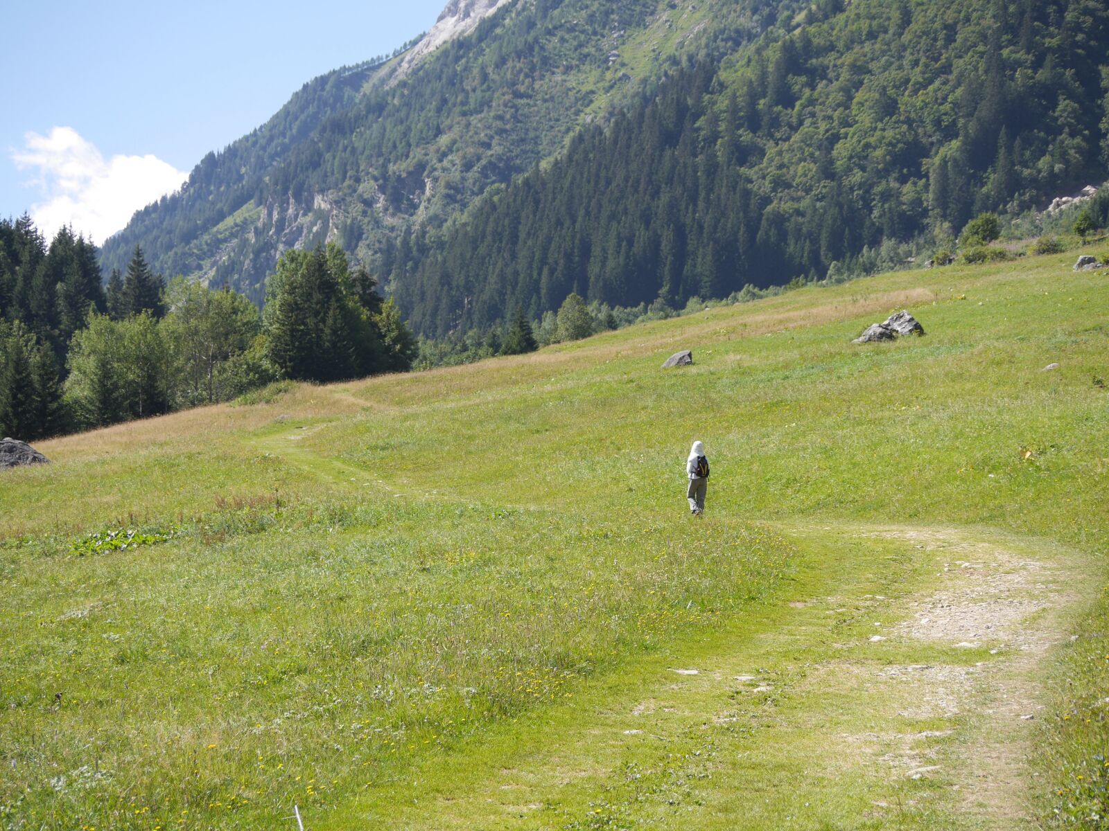 Panasonic Lumix DMC-GH3 sample photo. Path, meadow, landscape photography
