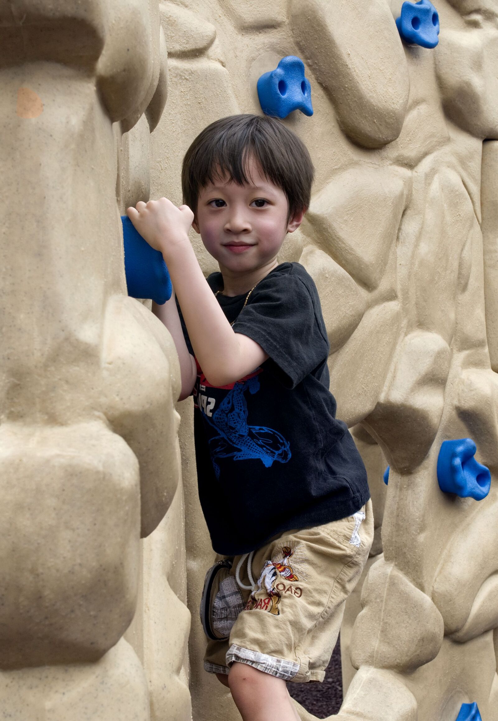 Nikon D300 sample photo. Young boy, attempting, climb photography