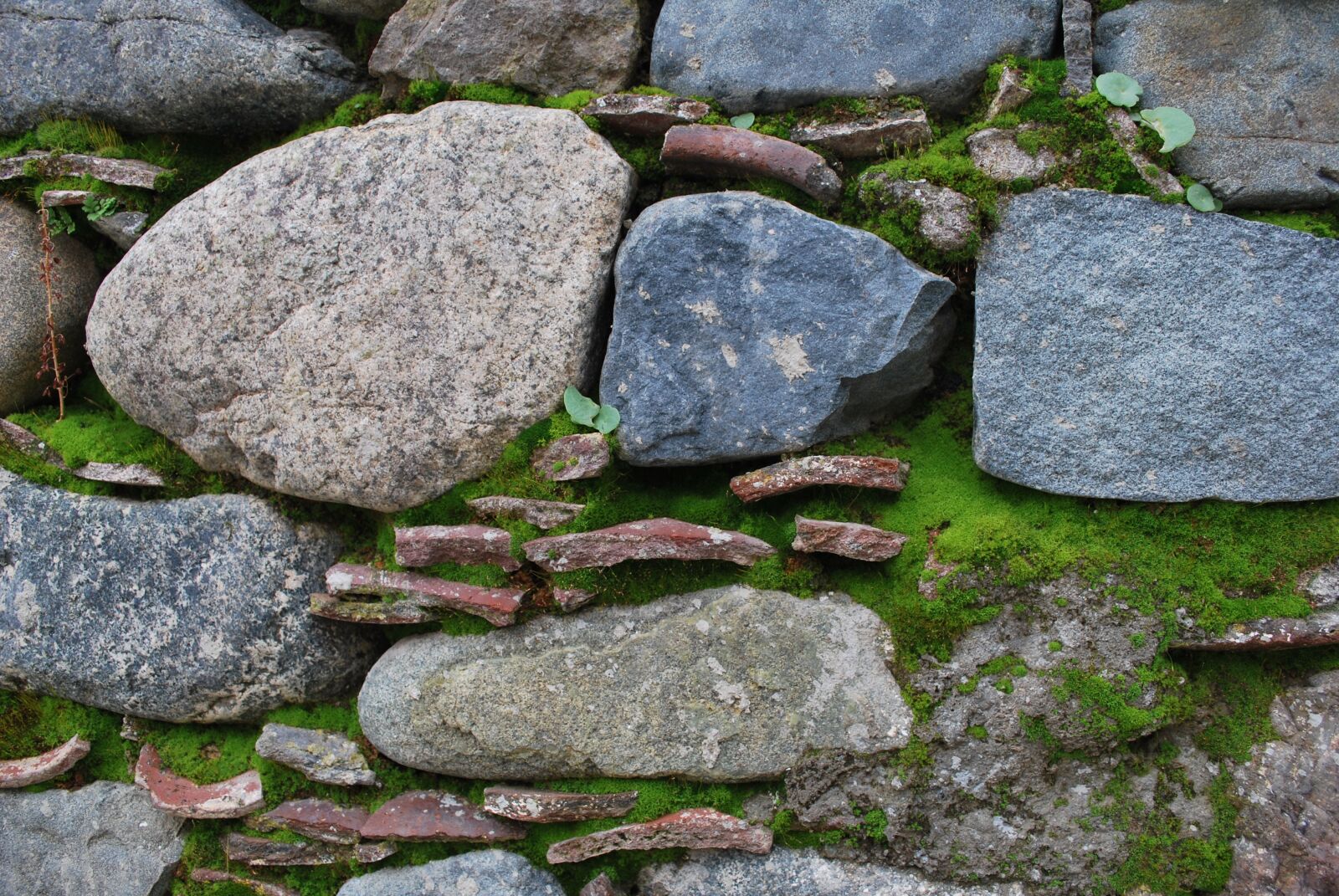 Nikon D60 sample photo. Stone, moss, wall photography
