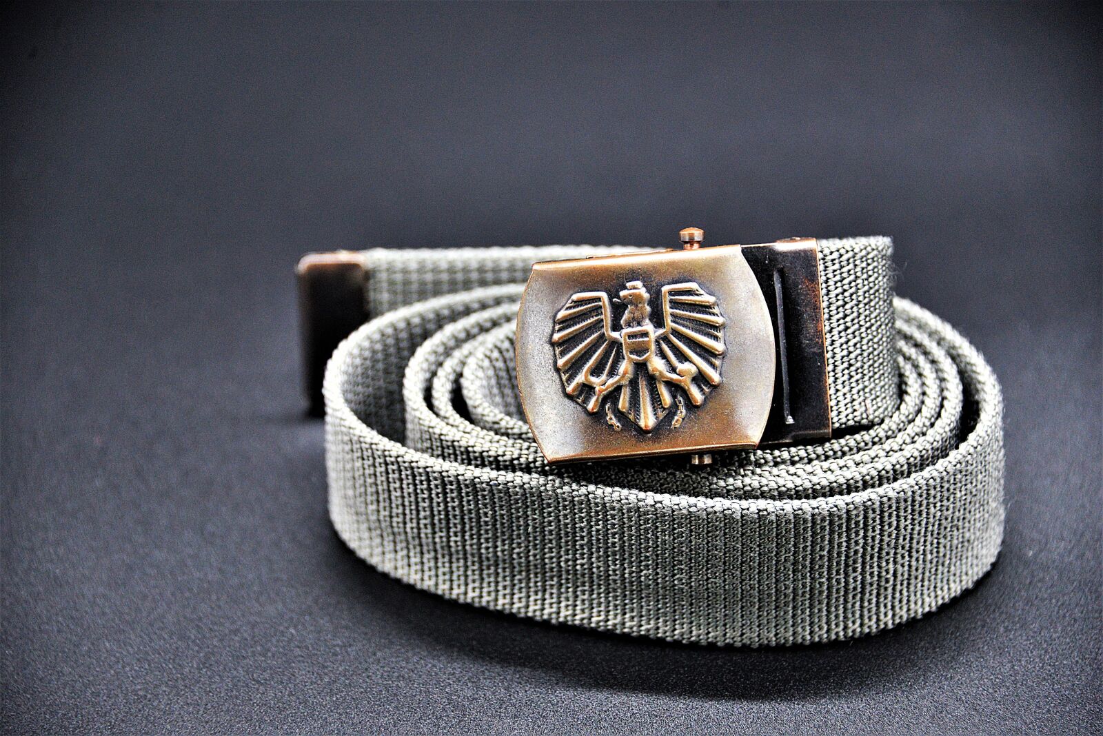 Nikon D610 sample photo. Belt buckle, belts, federal photography