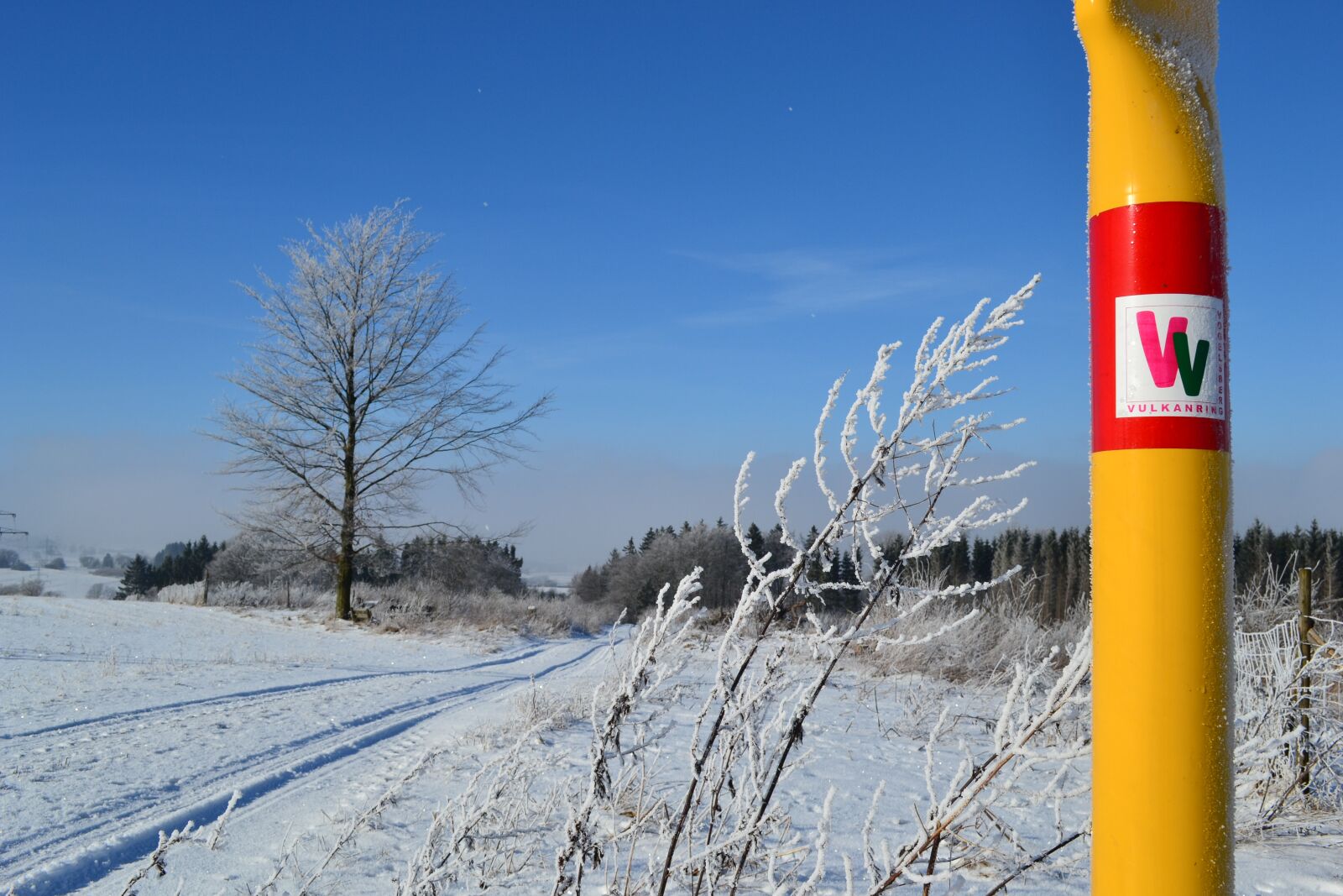 Nikon D3100 sample photo. Winter, snow, landscape photography