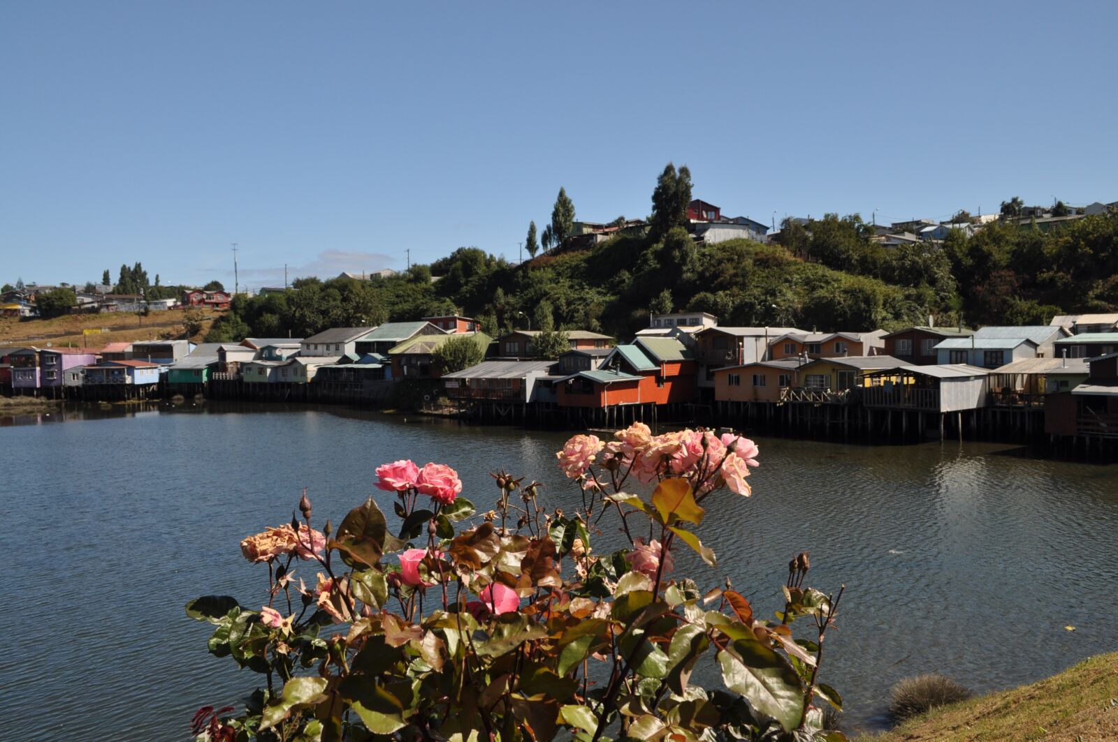 Nikon D5000 sample photo. Palafitos, chile, nature photography