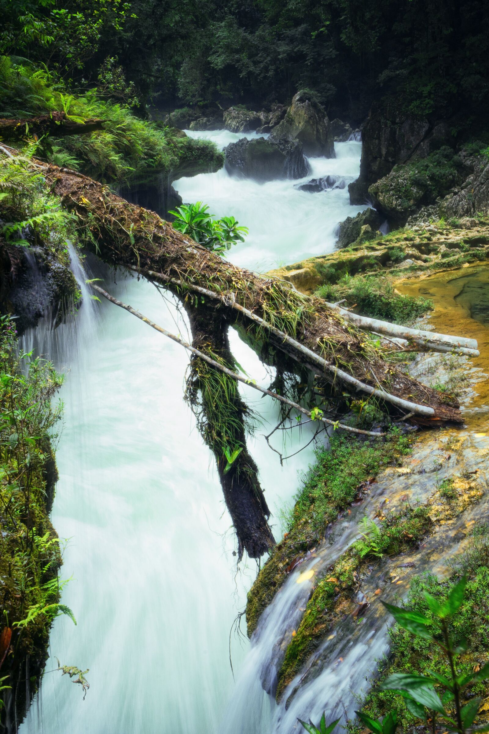 Canon EF-S 18-135mm F3.5-5.6 IS sample photo. Nature, guatemala, semucchampey photography