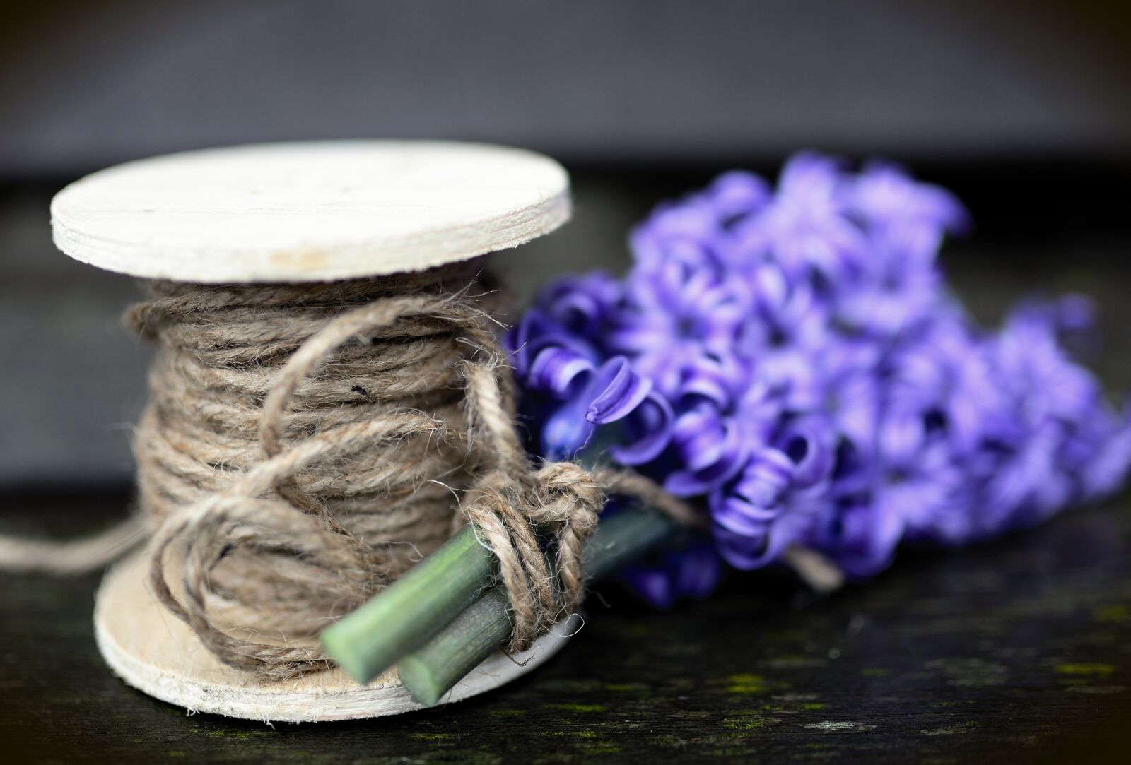 Nikon D610 sample photo. Hyacinth, blossom, bloom photography