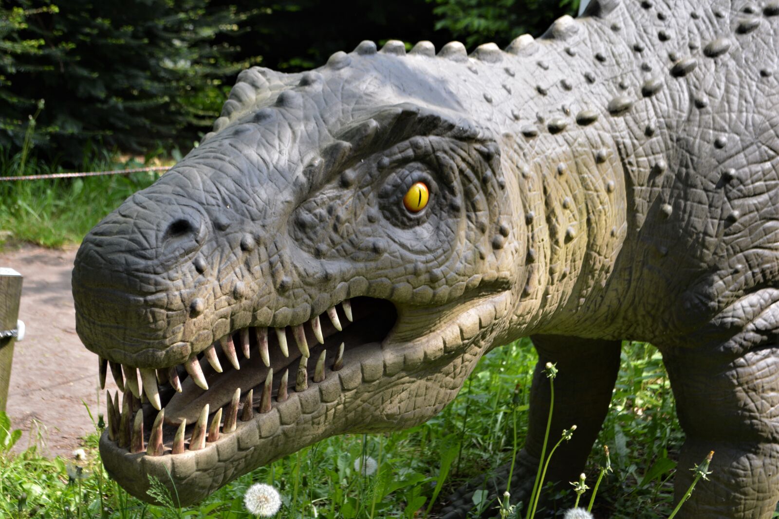 Nikon D5200 sample photo. Dinosaur, dino, carnivorous dinosaurs photography