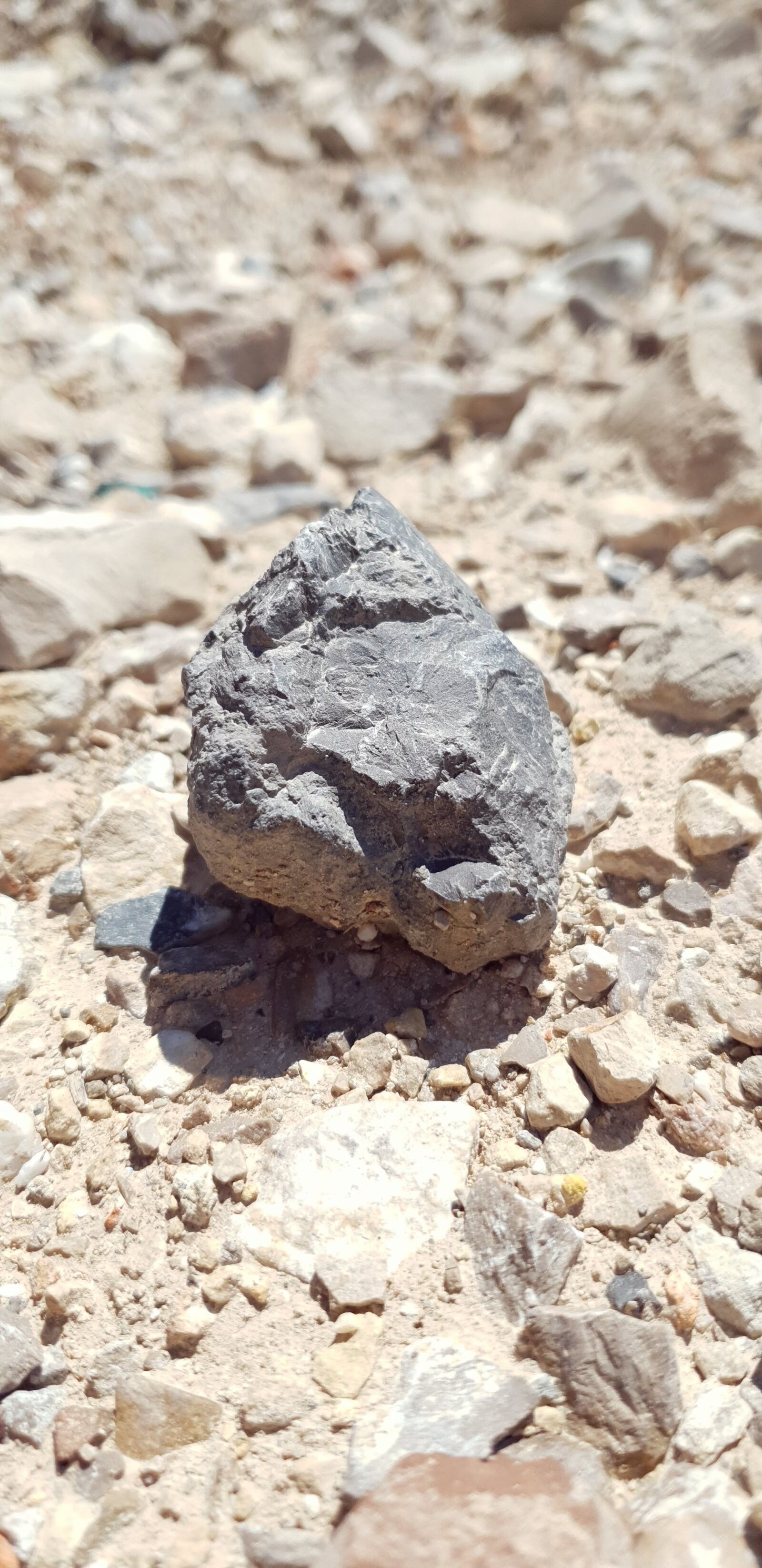 Samsung Galaxy S9 sample photo. Stone, walk, nature photography