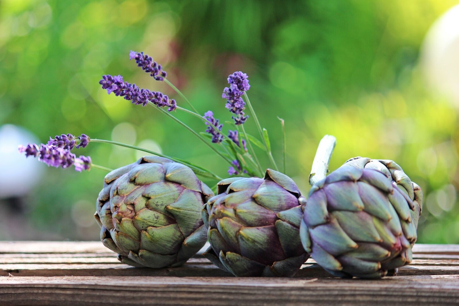 Canon EOS 600D (Rebel EOS T3i / EOS Kiss X5) sample photo. Artichokes, lavender, wooden box photography