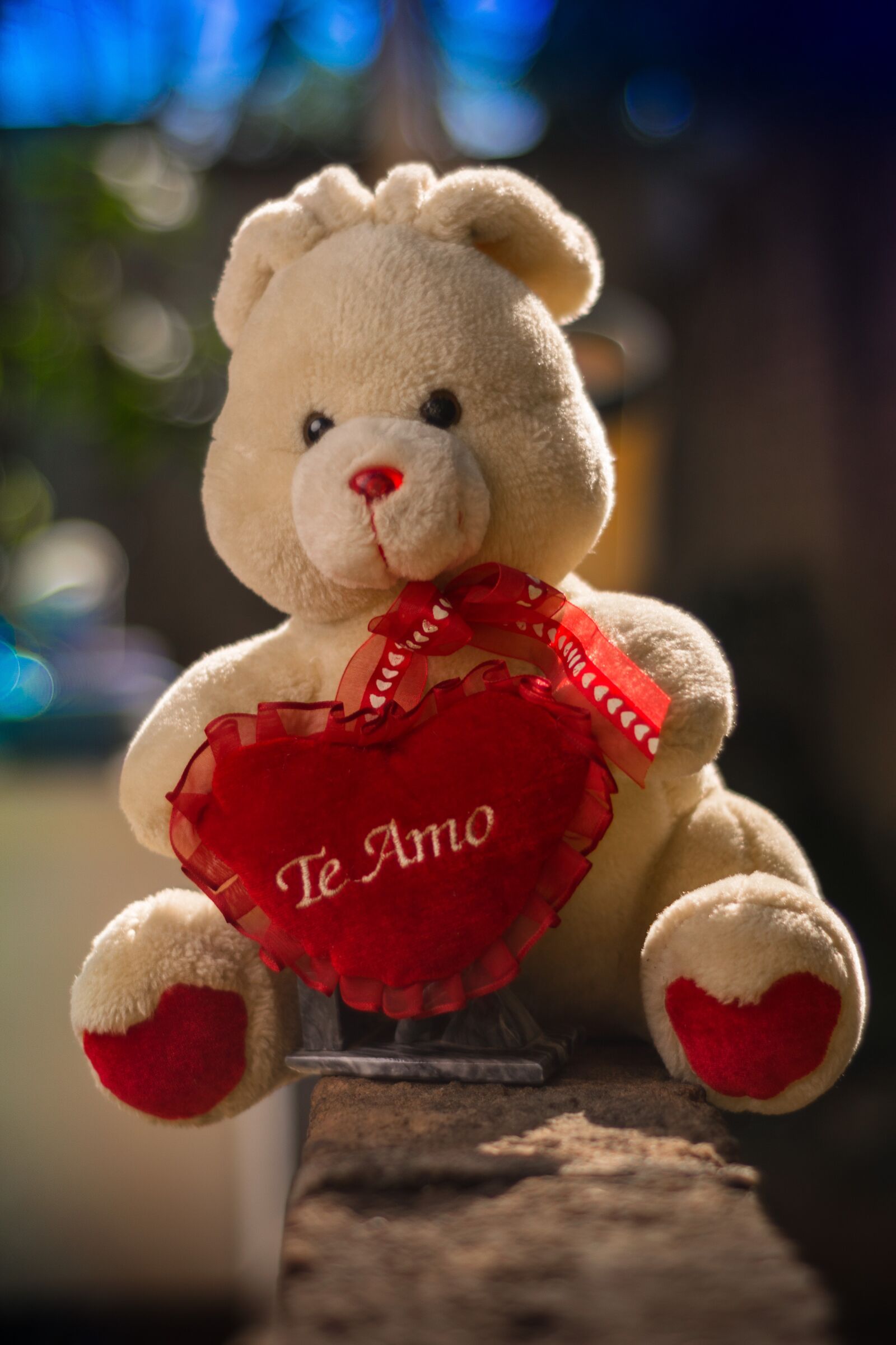 Nikon D3300 sample photo. Rabbit, teddy, heart photography