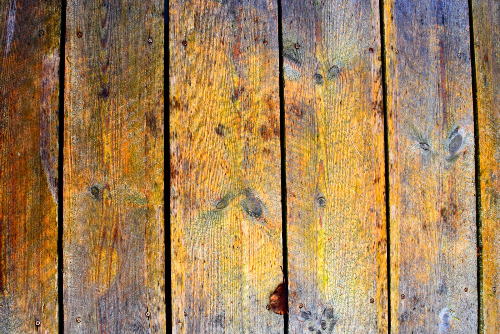 Nikon D3300 sample photo. Wood, plank, texture photography