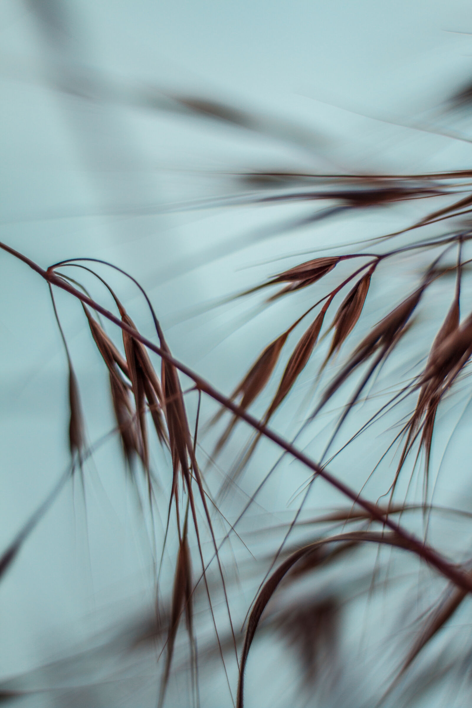 Canon EOS 70D + Canon EF 50mm F1.8 STM sample photo