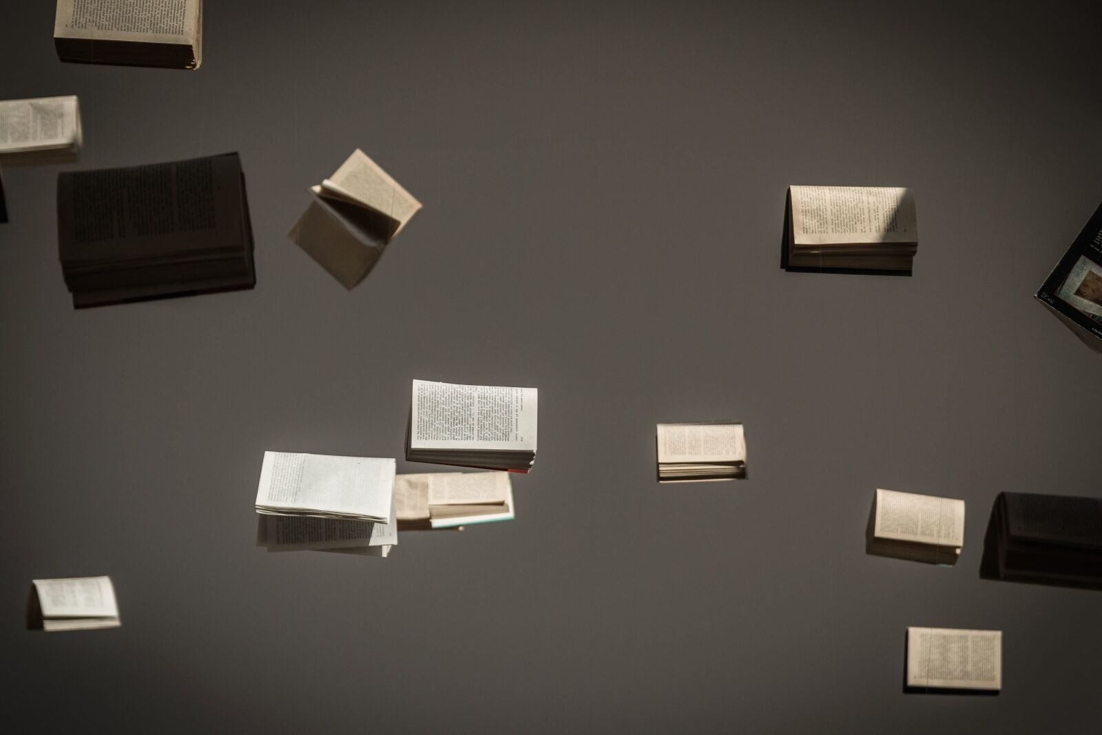 Canon EOS 70D sample photo. Books, art, decoration, novel photography