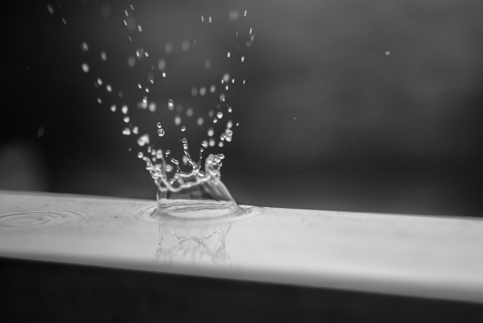 Nikon D600 sample photo. Splash, drop, rain photography