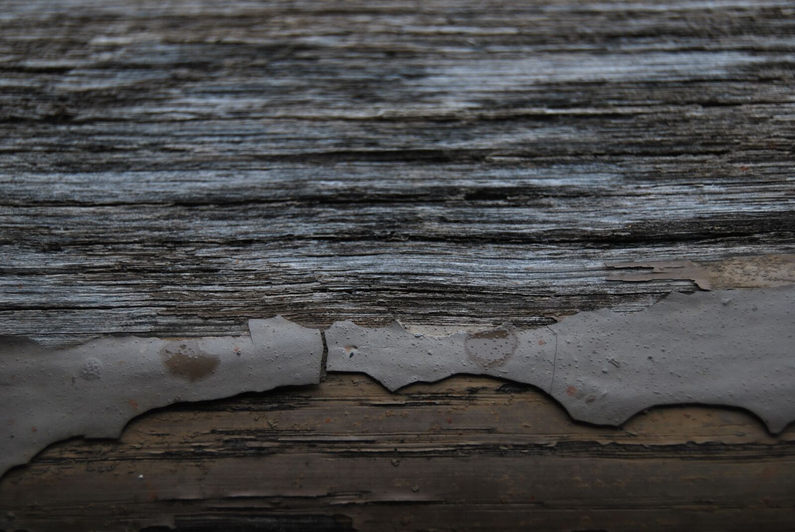 Nikon D60 sample photo. Wood, pattern, aged photography