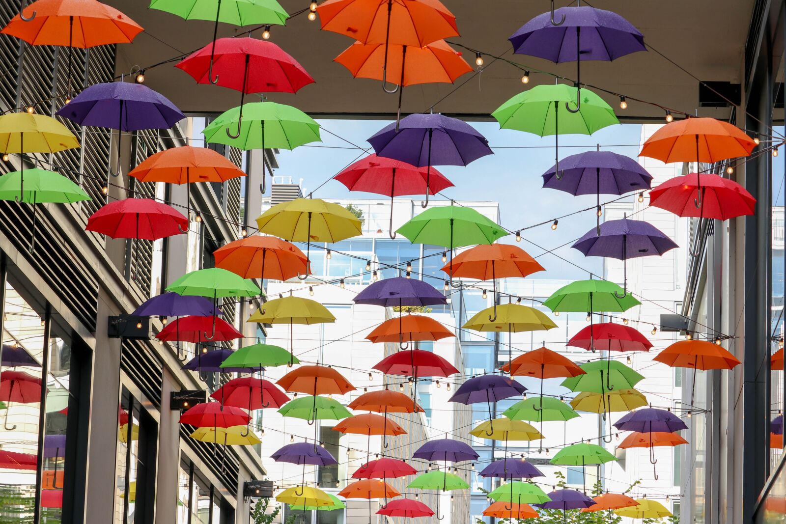 Canon EF-S 55-250mm F4-5.6 IS STM sample photo. Art, umbrella, colorful photography