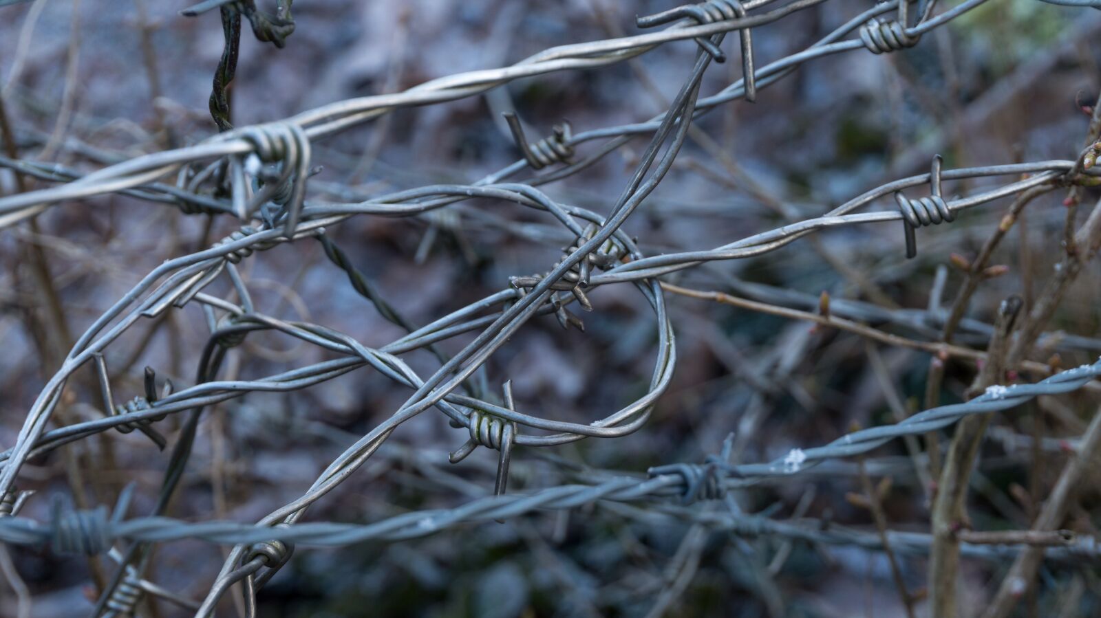 Sony Alpha a5000 (ILCE 5000) sample photo. Barbed wire, metal, wire photography