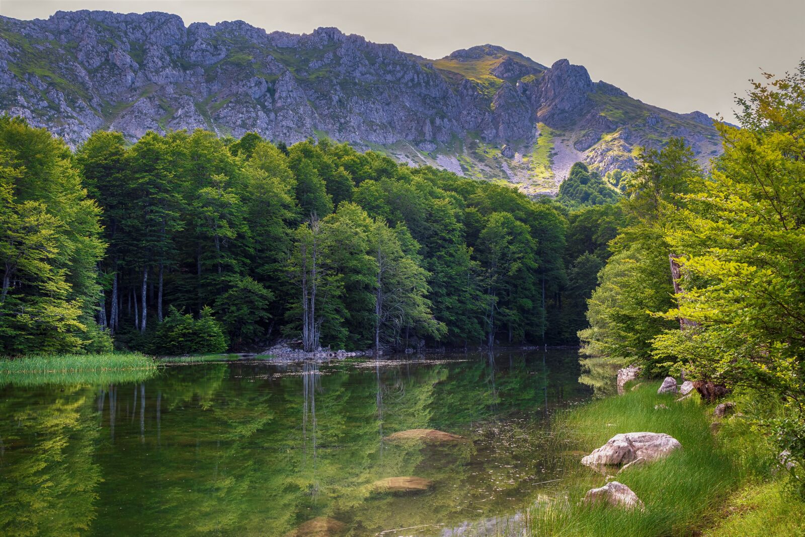 Tamron SP 24-70mm F2.8 Di VC USD sample photo. Green, mountain, landscape photography