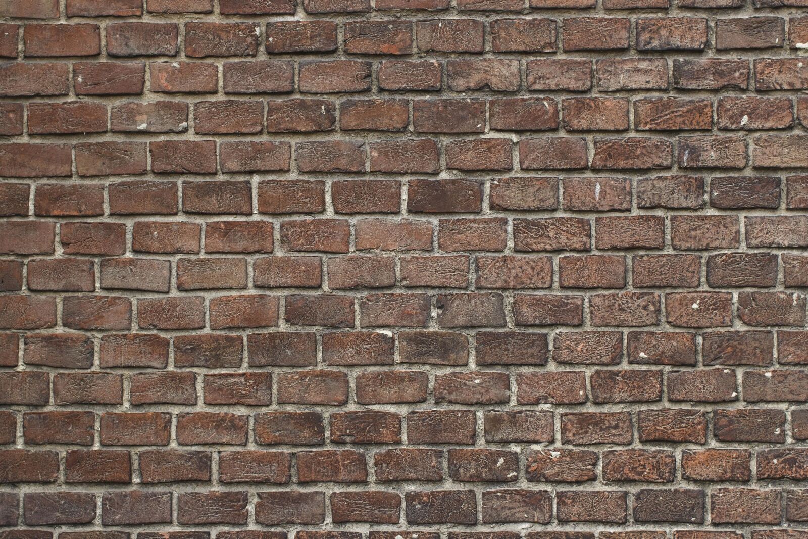 Canon EOS 100D (EOS Rebel SL1 / EOS Kiss X7) sample photo. Texture, wall, brick, architecture photography