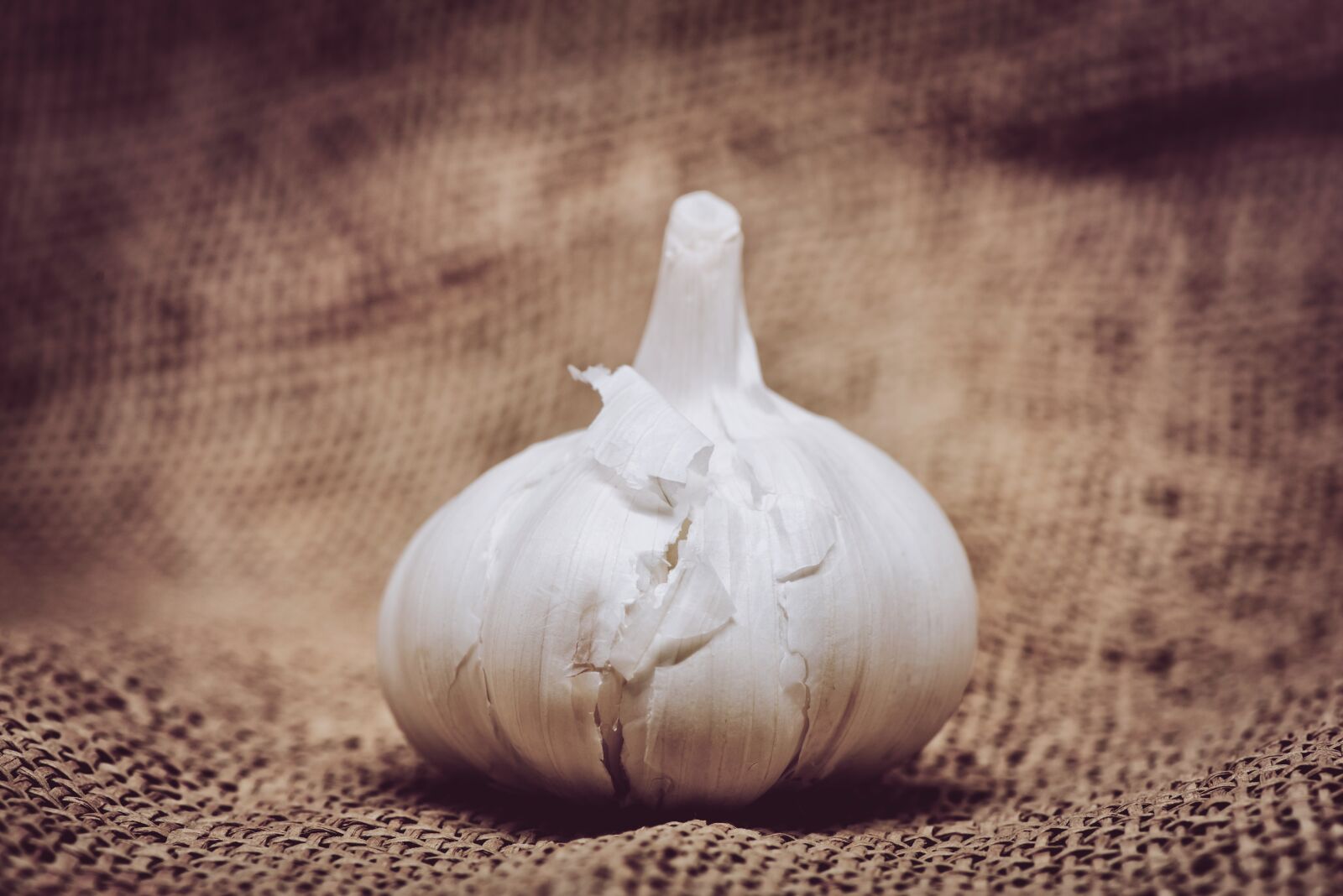 Nikon D800 sample photo. Garlic, burlap, vegetable photography
