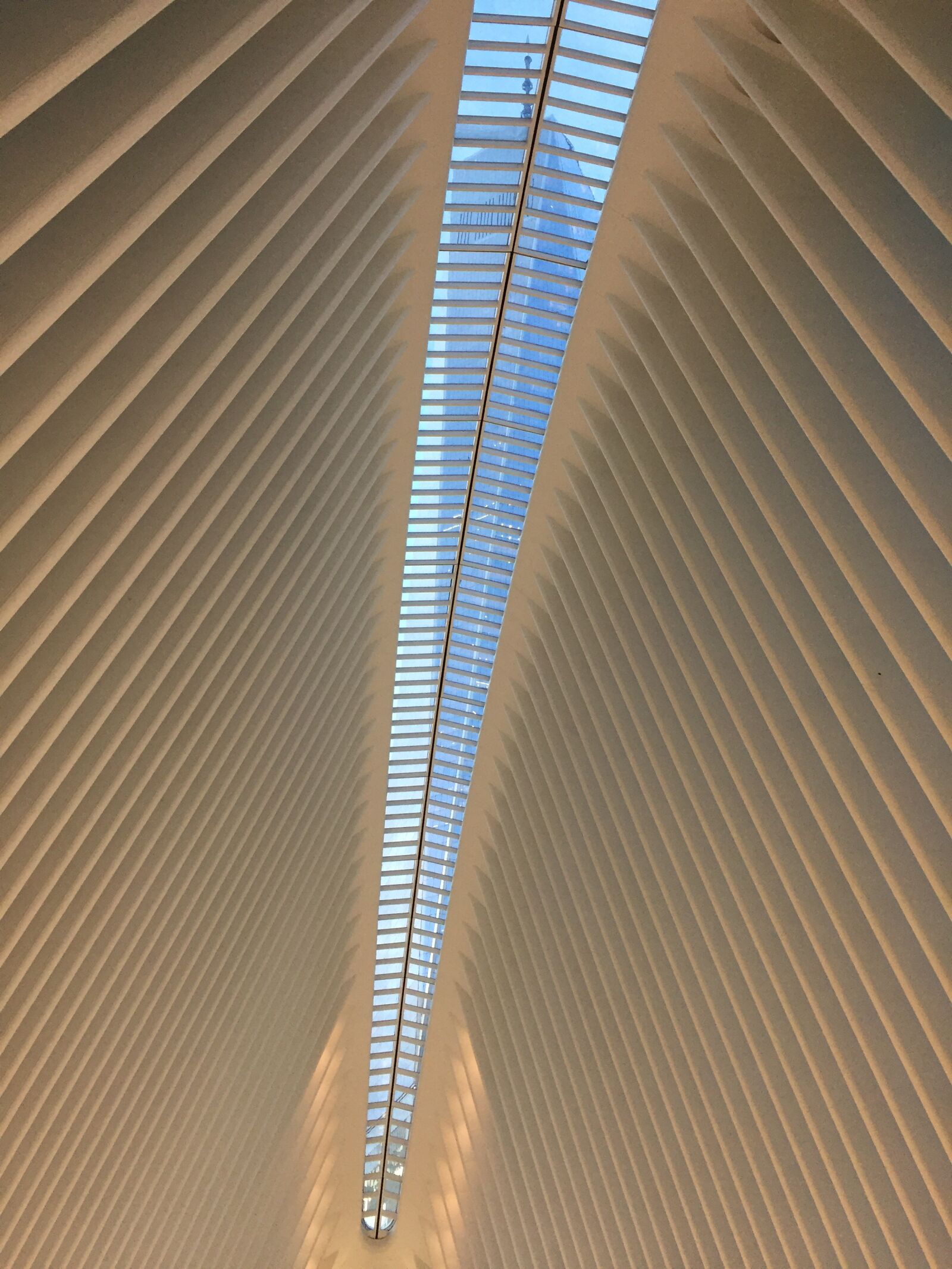 iPhone 6 back camera 4.15mm f/2.2 sample photo. Wtc, new york, us photography