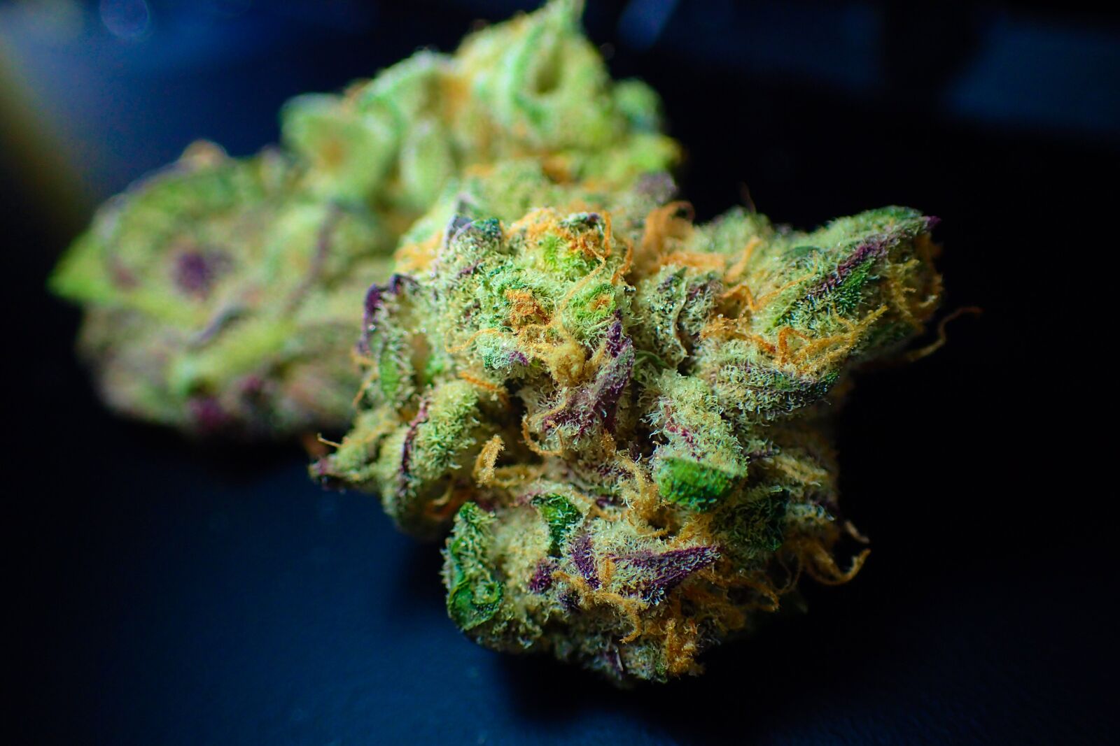 Olympus TG-4 sample photo. Bud, cannabis, close up photography