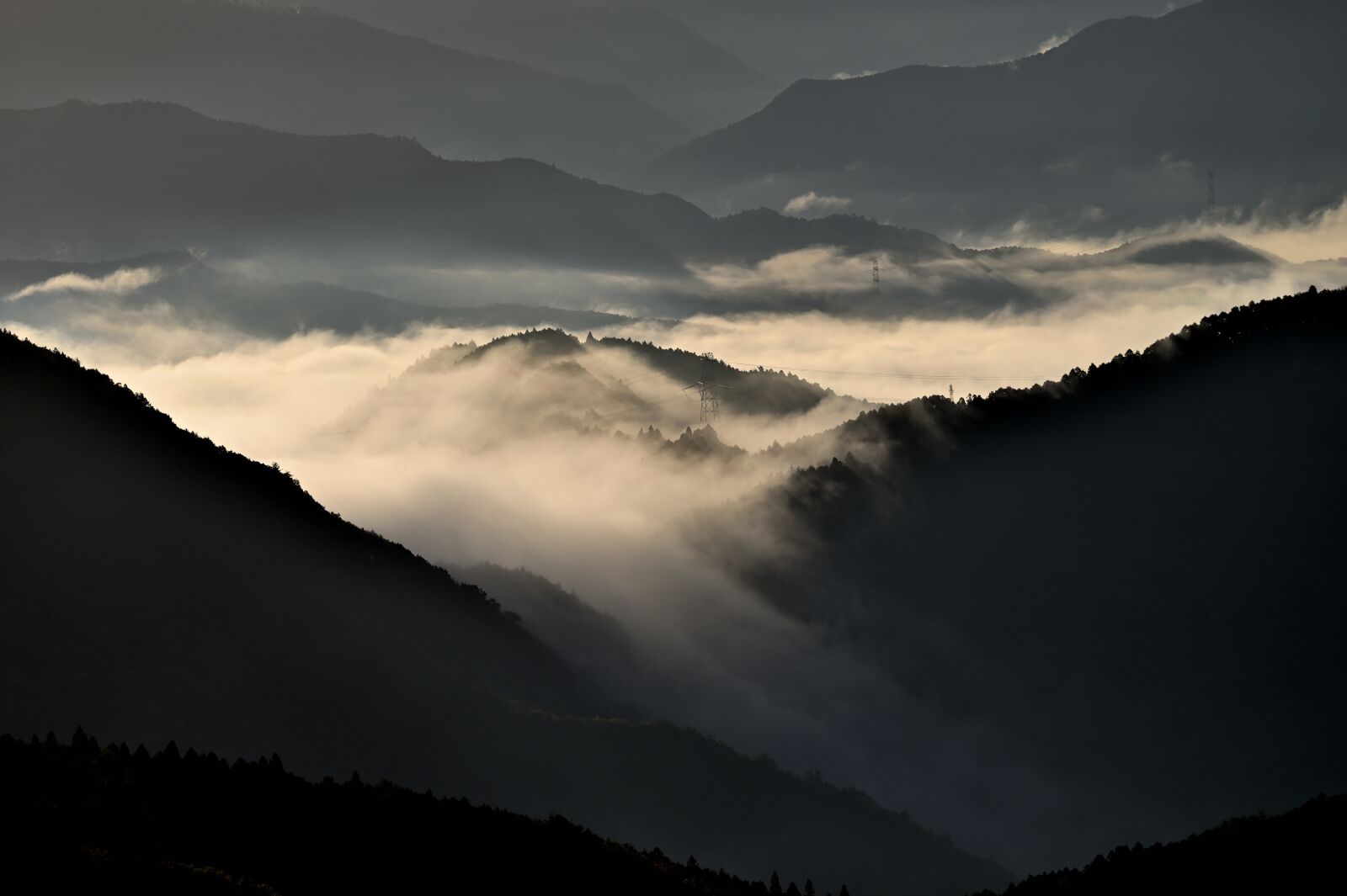 Nikon Z6 sample photo. Sea of clouds, mountain photography