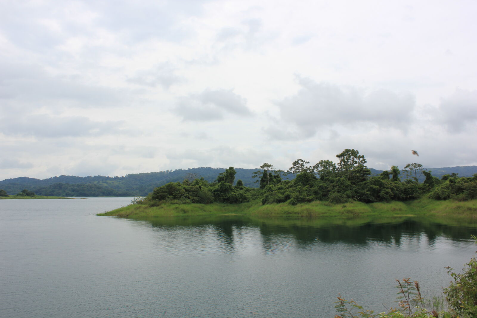 Canon EOS 550D (EOS Rebel T2i / EOS Kiss X4) + Canon EF-S 18-55mm F3.5-5.6 IS sample photo. Lake, island, costarica, green photography