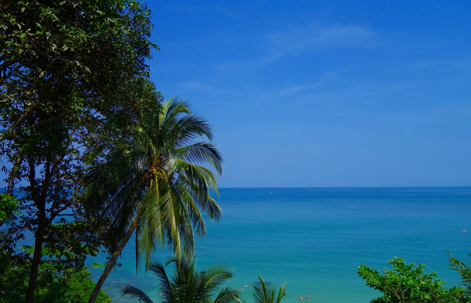 Sony Cyber-shot DSC-RX100 sample photo. Summer, nature, tropical photography