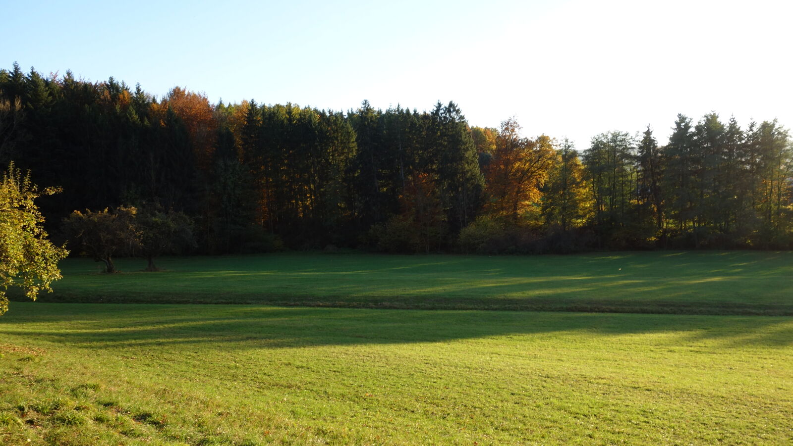 Sony Cyber-shot DSC-RX100 sample photo. Autumn, autumn, mood, forest photography