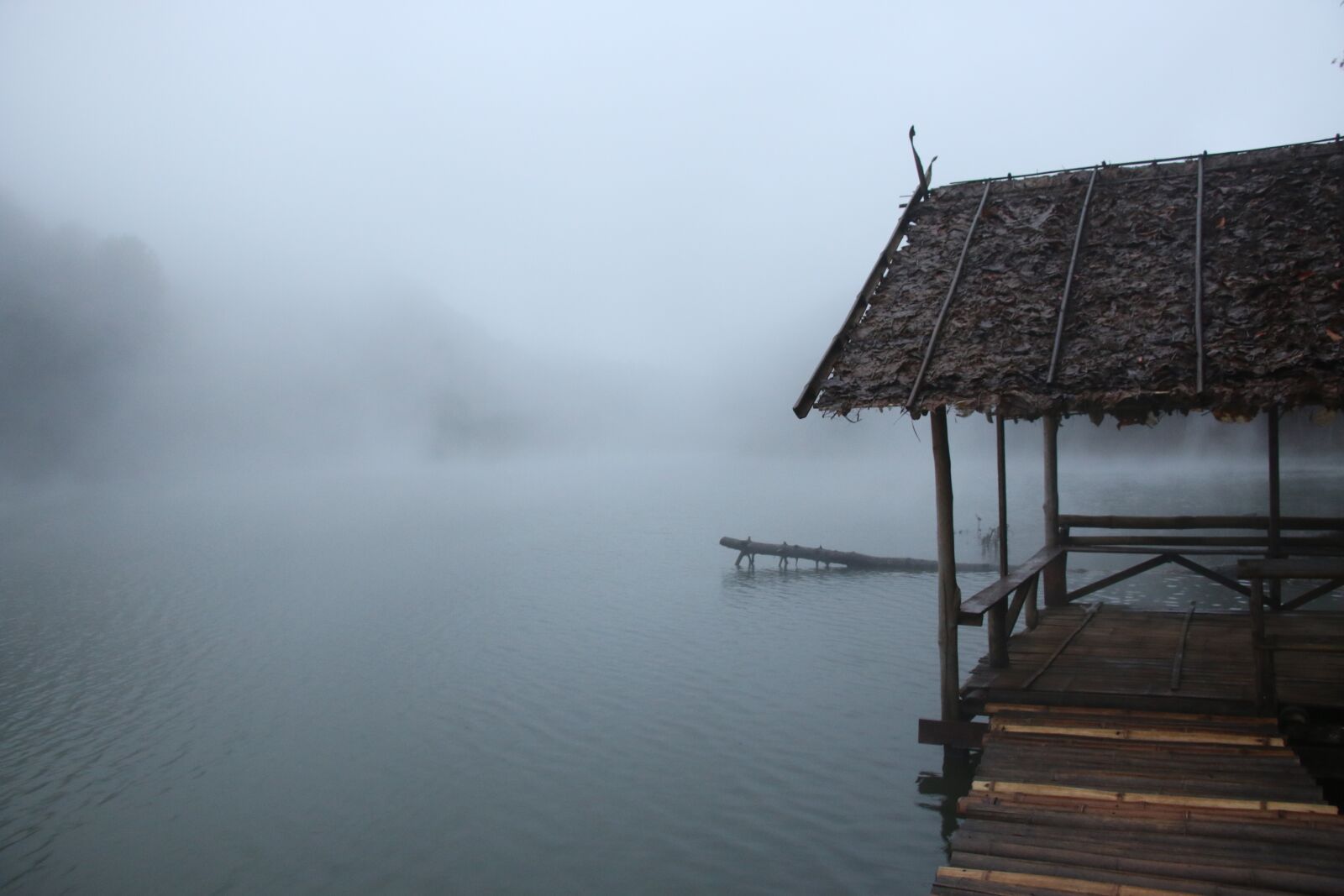 Canon EOS 70D sample photo. The mist, its freezing photography