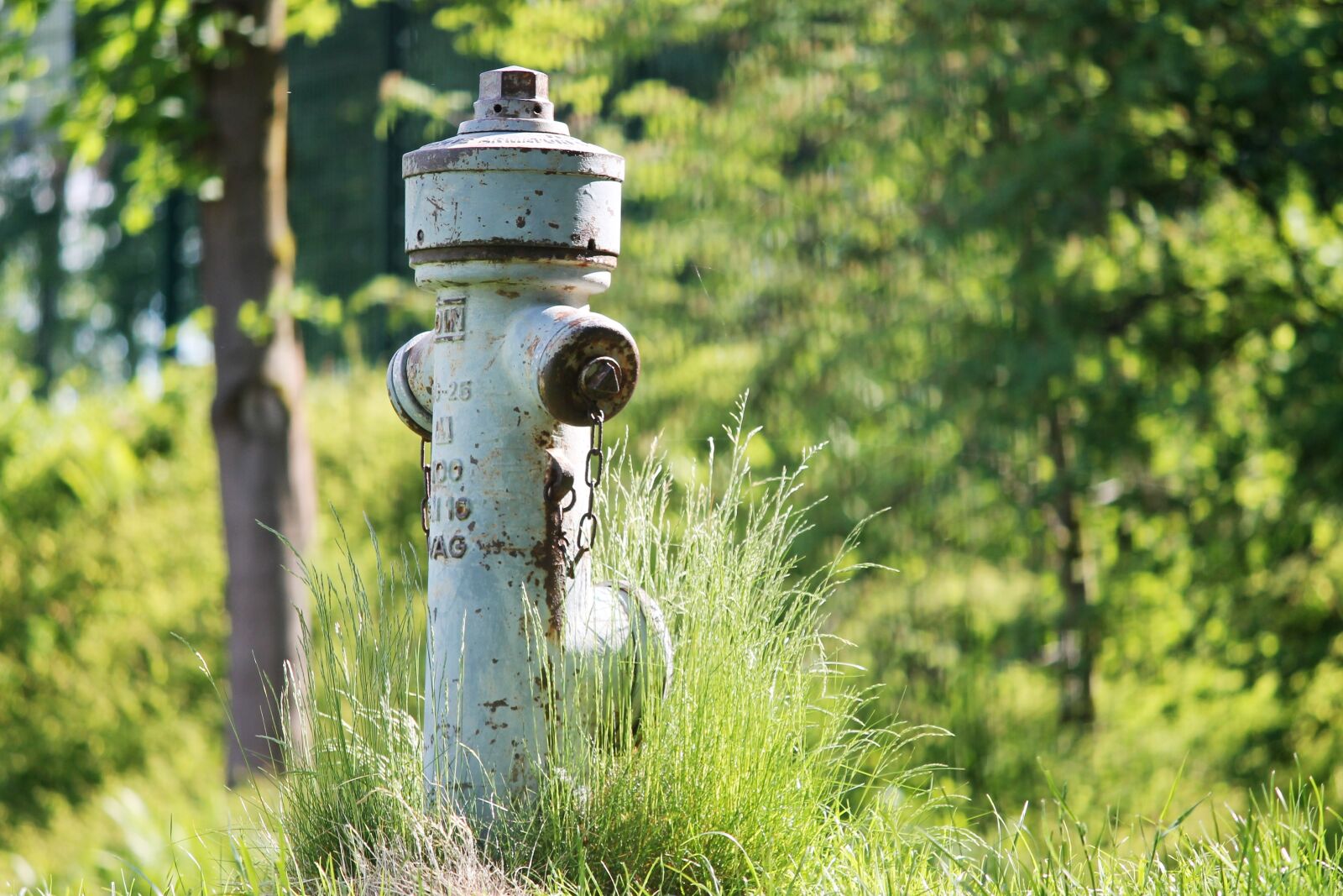 Canon EF-S 55-250mm F4-5.6 IS II sample photo. Hydrant, above ground hydrant photography