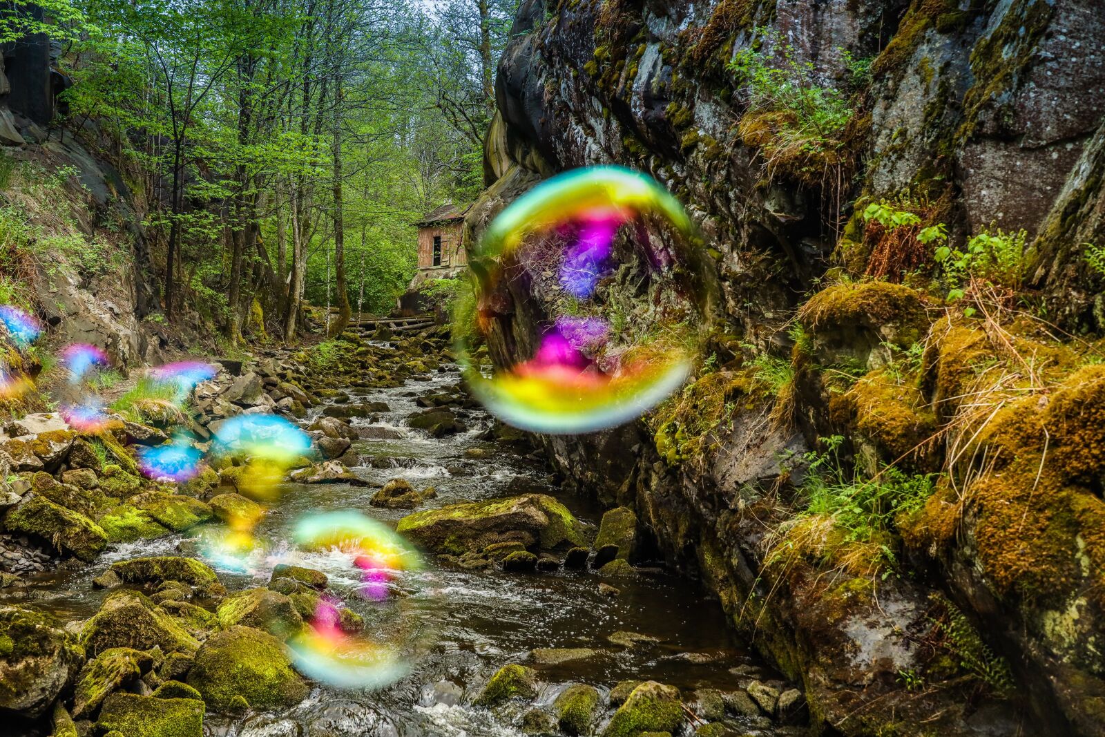 Canon EOS R sample photo. Soap bubble, landscape, river photography