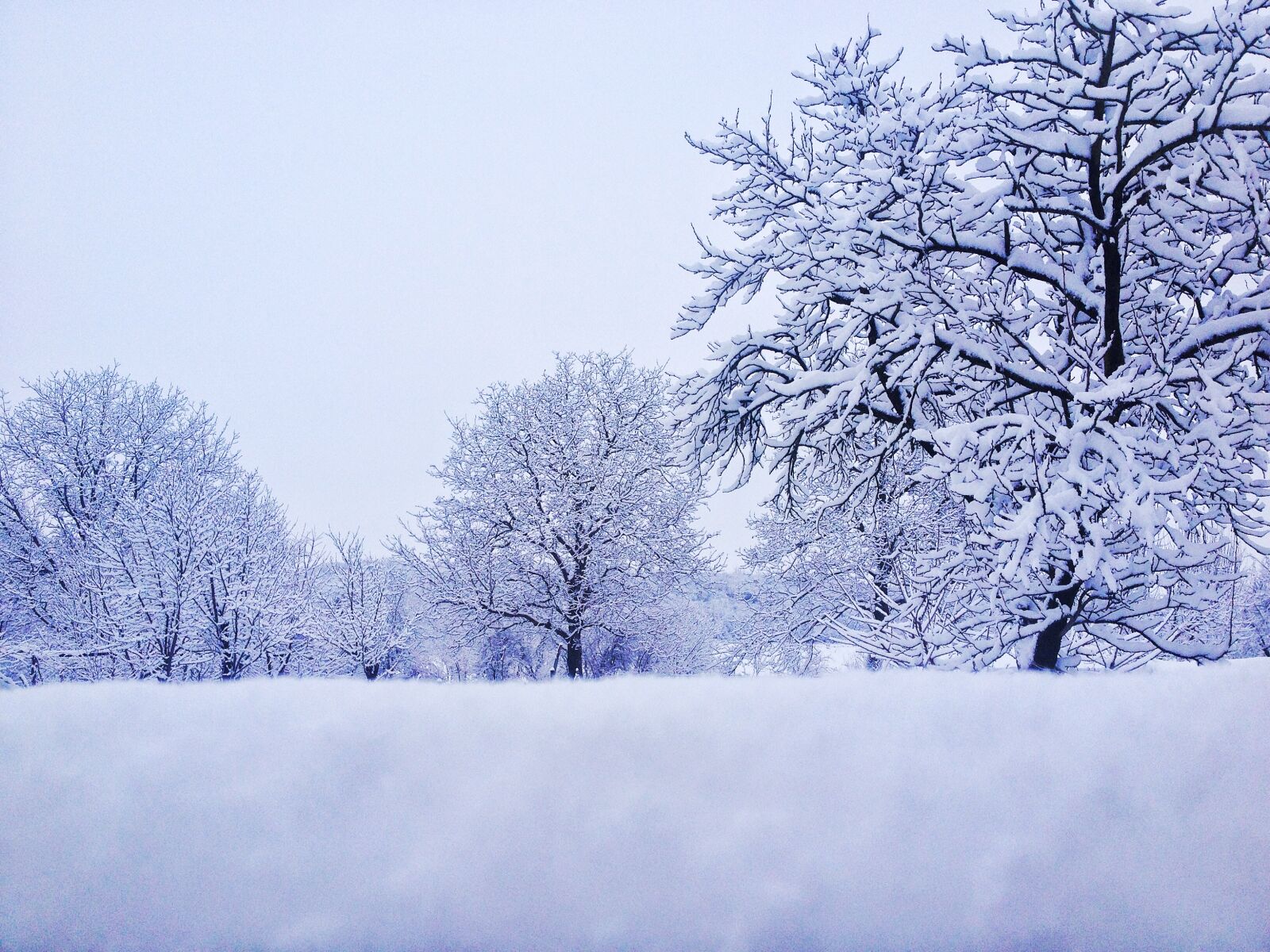 Apple iPhone 4S sample photo. Winter, snow, trees photography