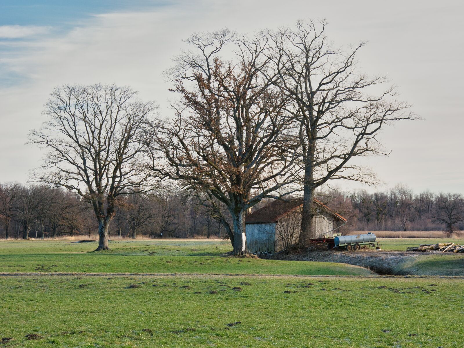 Nikon D7100 sample photo. Trees, hut, barn photography