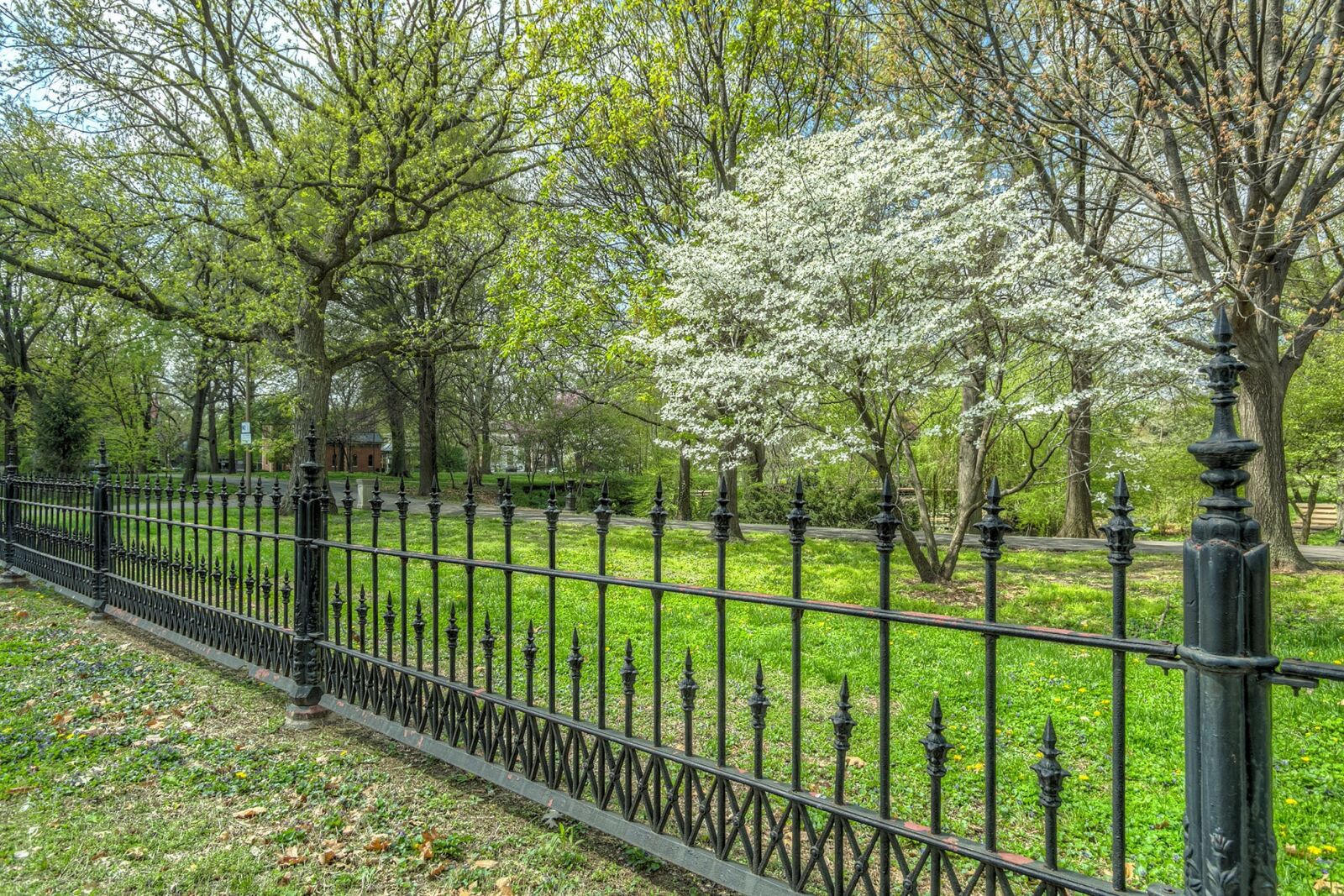 Canon EOS 5D Mark III sample photo. Park, tree, flowering photography