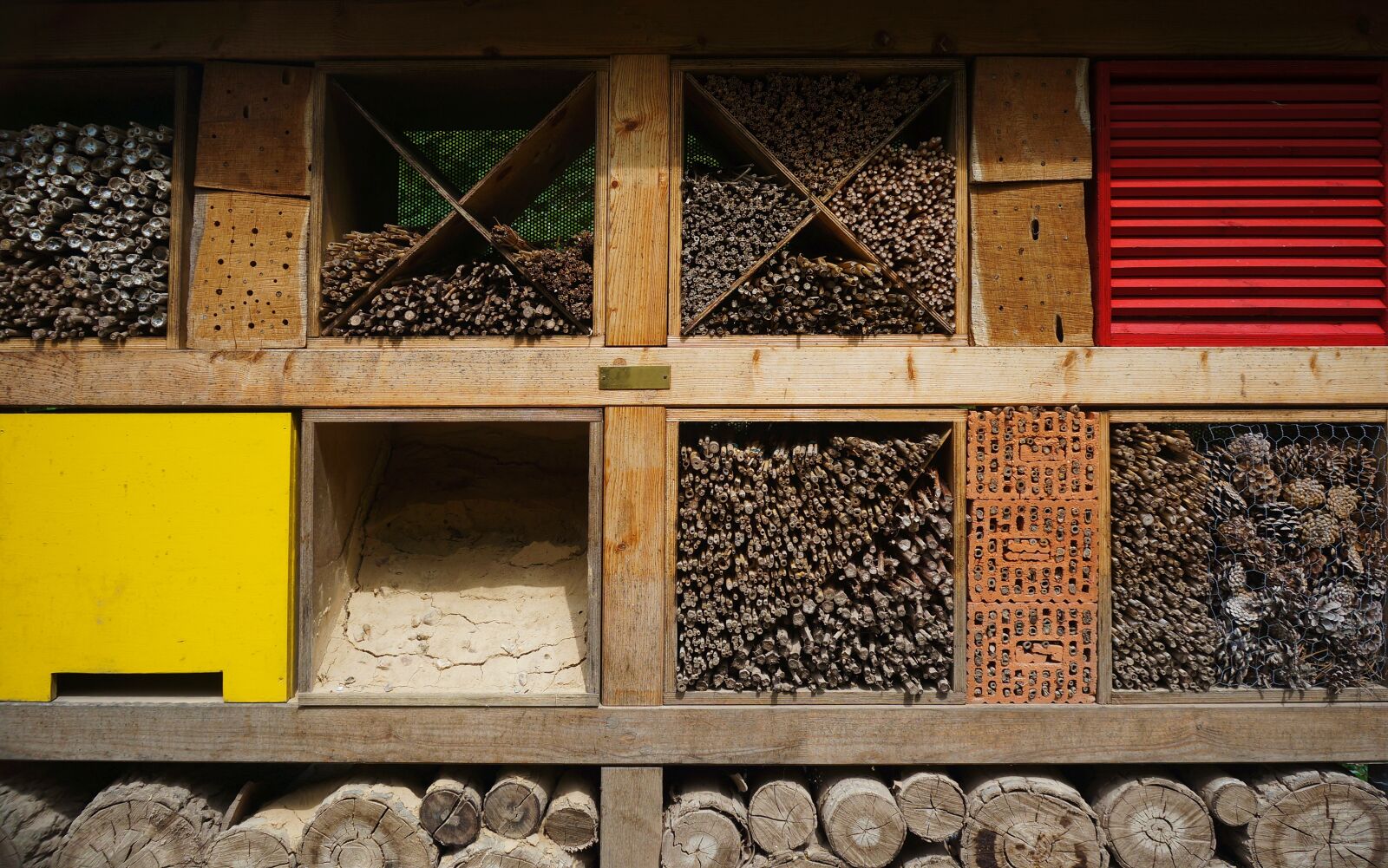 Sony Alpha NEX-5N sample photo. Insect house, insect, home photography