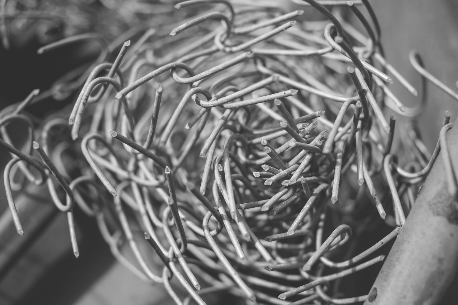 Canon EF 40mm F2.8 STM sample photo. Black and white, black photography