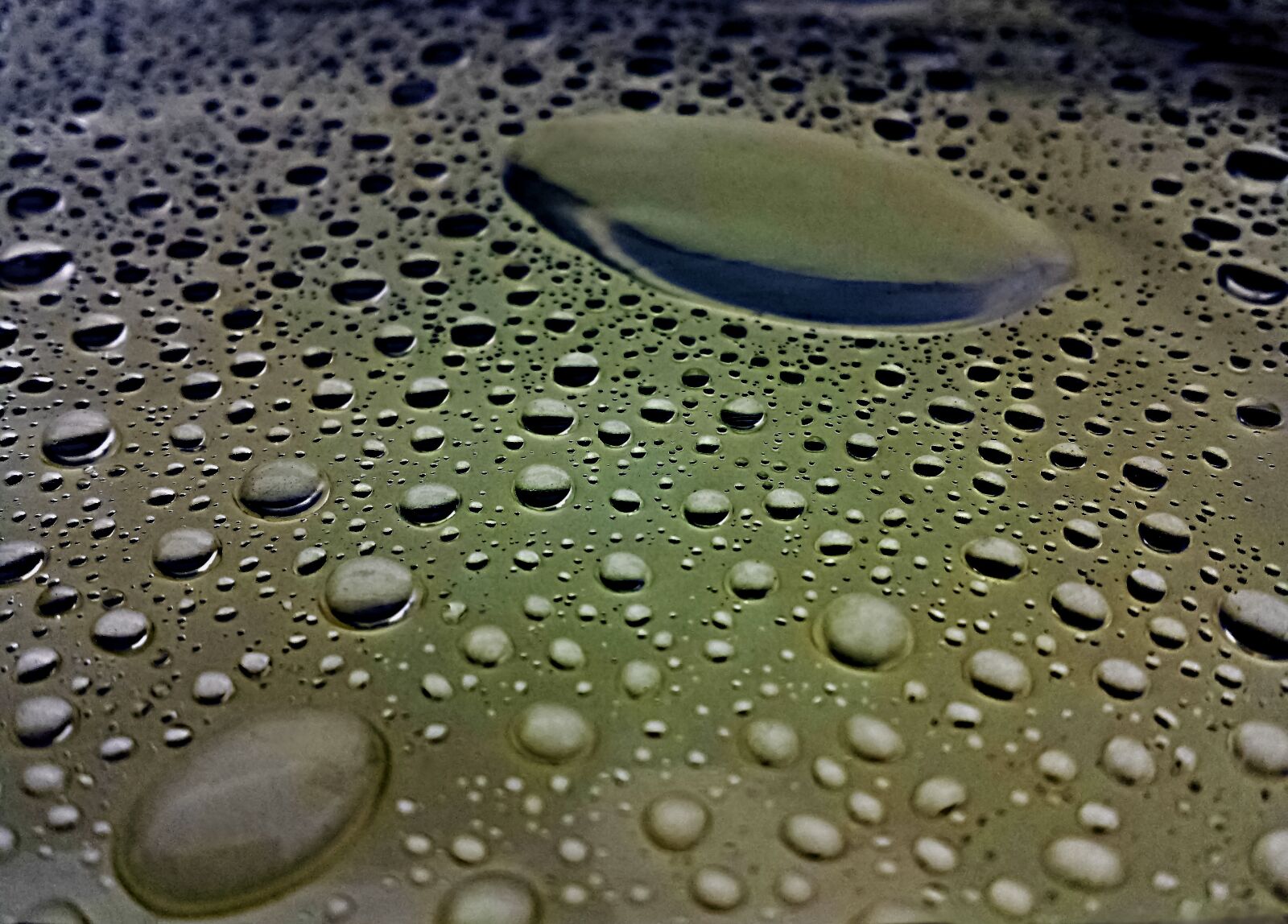 Samsung Galaxy S4 sample photo. Drop, wet, rain photography
