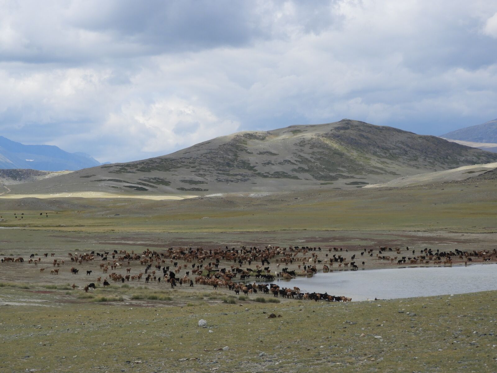 Nikon Coolpix B700 sample photo. Mountains, lake, horses photography