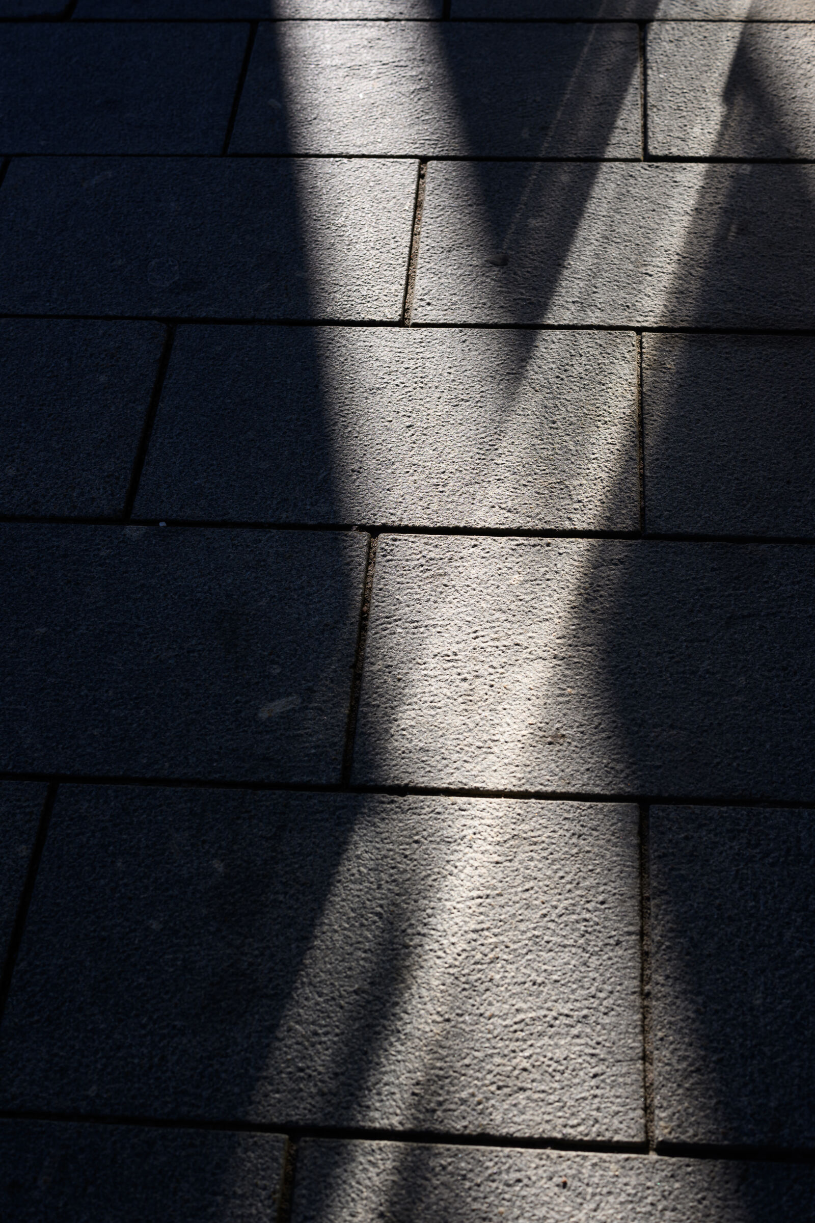 Nikon Nikkor Z 50mm F1.4 sample photo. Morning sunrays photography