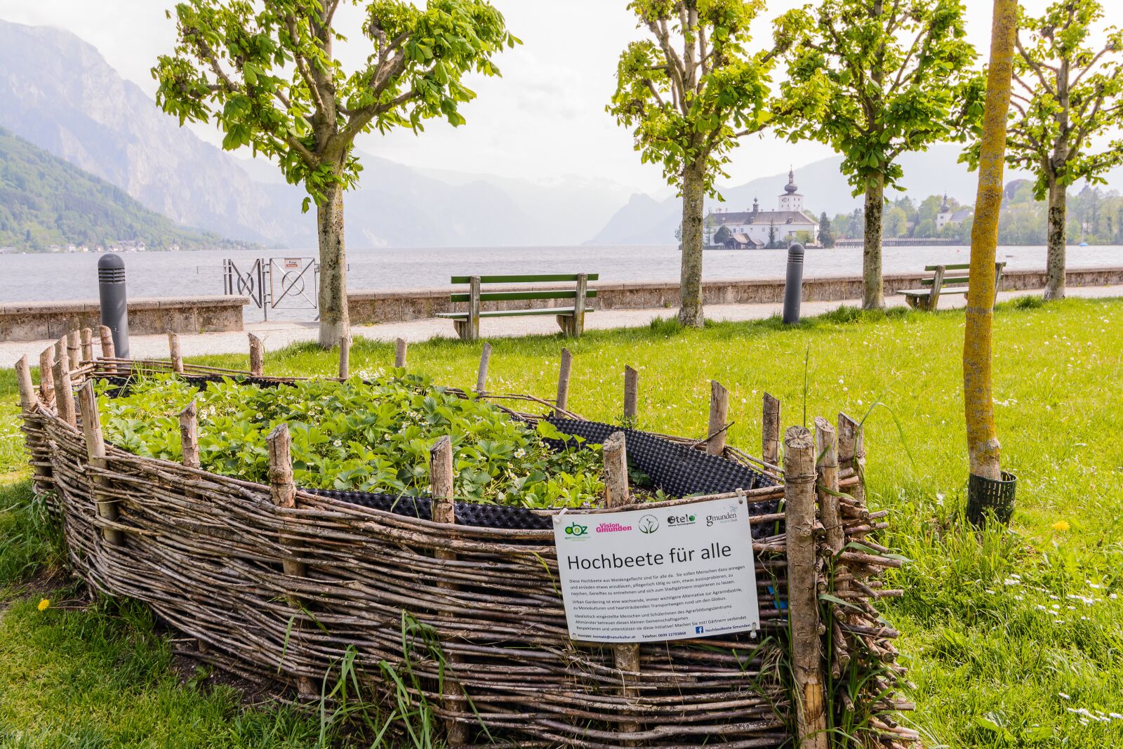 Nikon D5200 sample photo. Raised bed, garden, urban photography