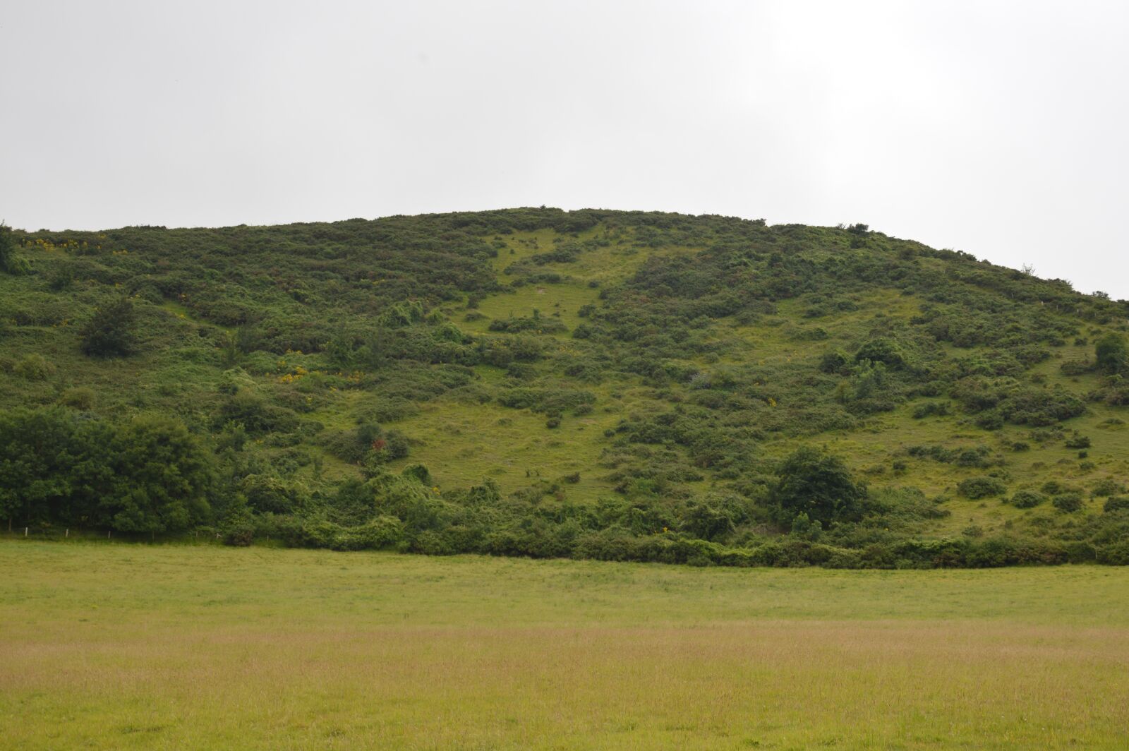 Nikon D3200 sample photo. Landscape, nature, widescreen photography