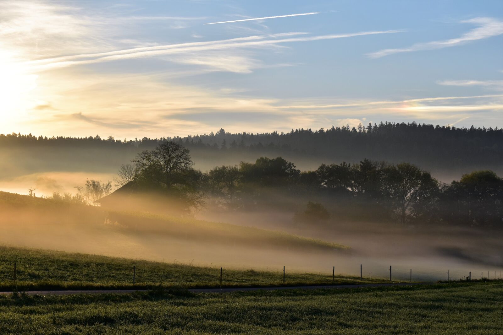 Nikon D5500 sample photo. Landscape, fog, morgenstimmung photography