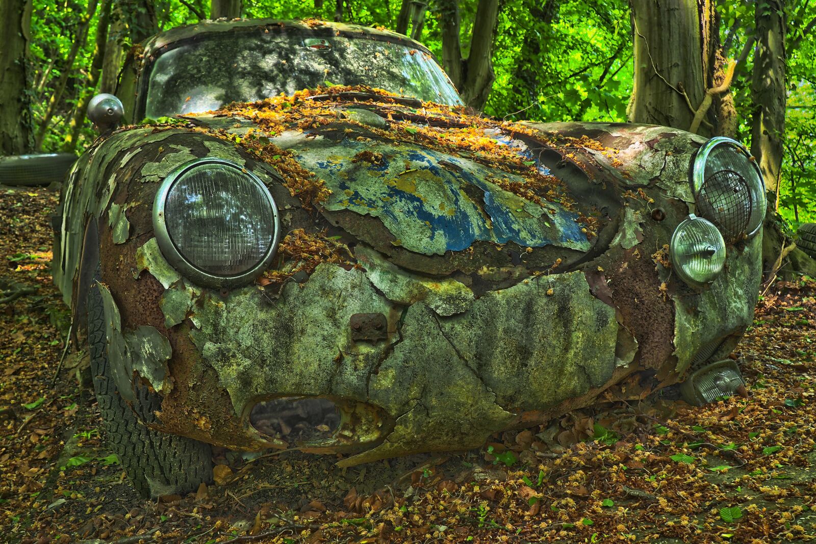 Olympus OM-D E-M10 sample photo. Auto, car cemetery, oldtimer photography