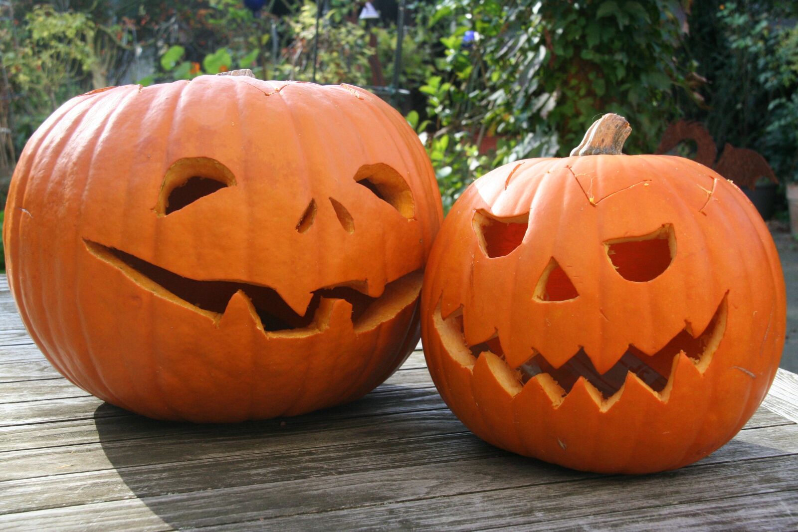 Canon EOS 350D (EOS Digital Rebel XT / EOS Kiss Digital N) sample photo. Pumpkin, halloween, lantern photography
