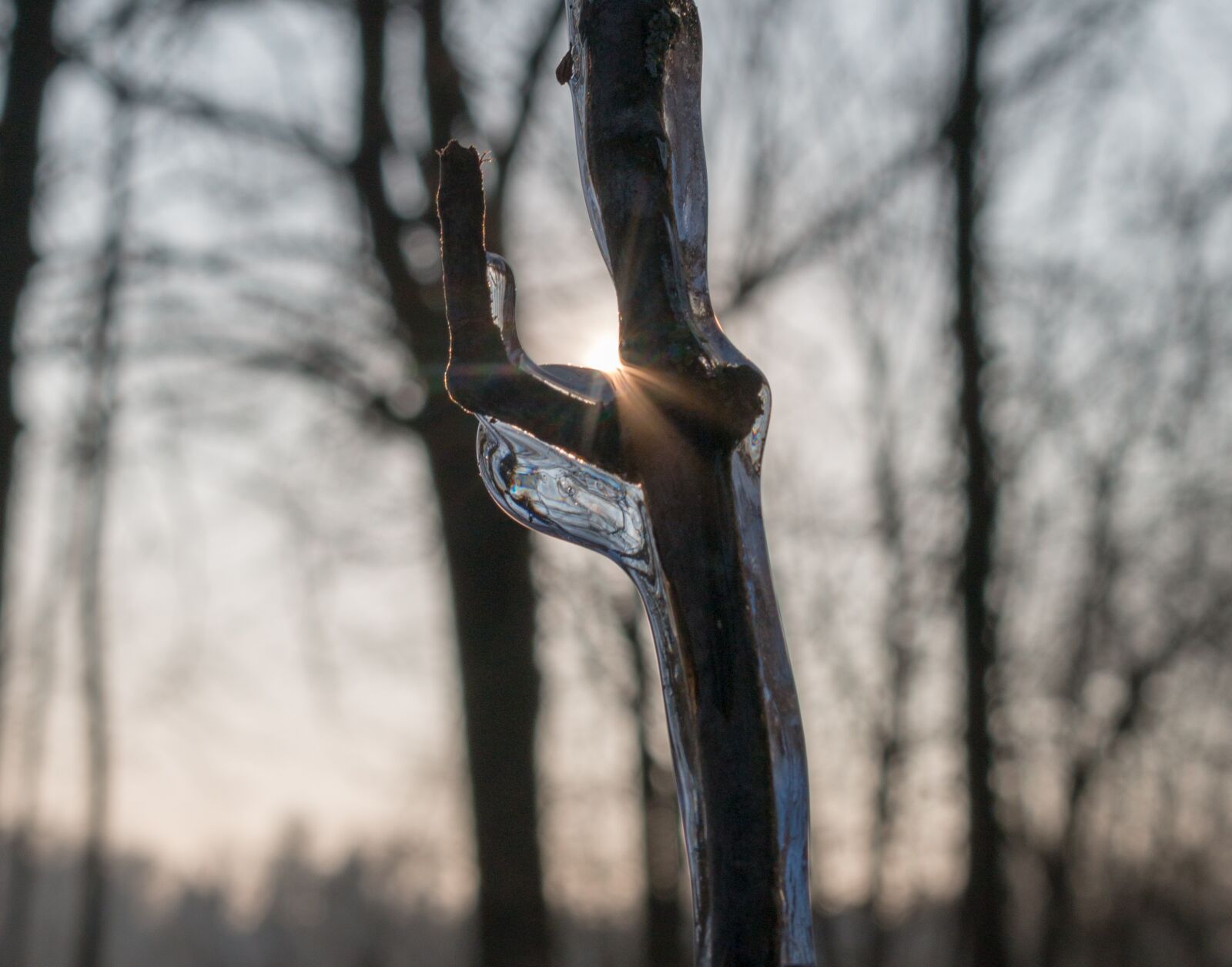 Canon EOS 70D sample photo. Ice, sun, winter photography