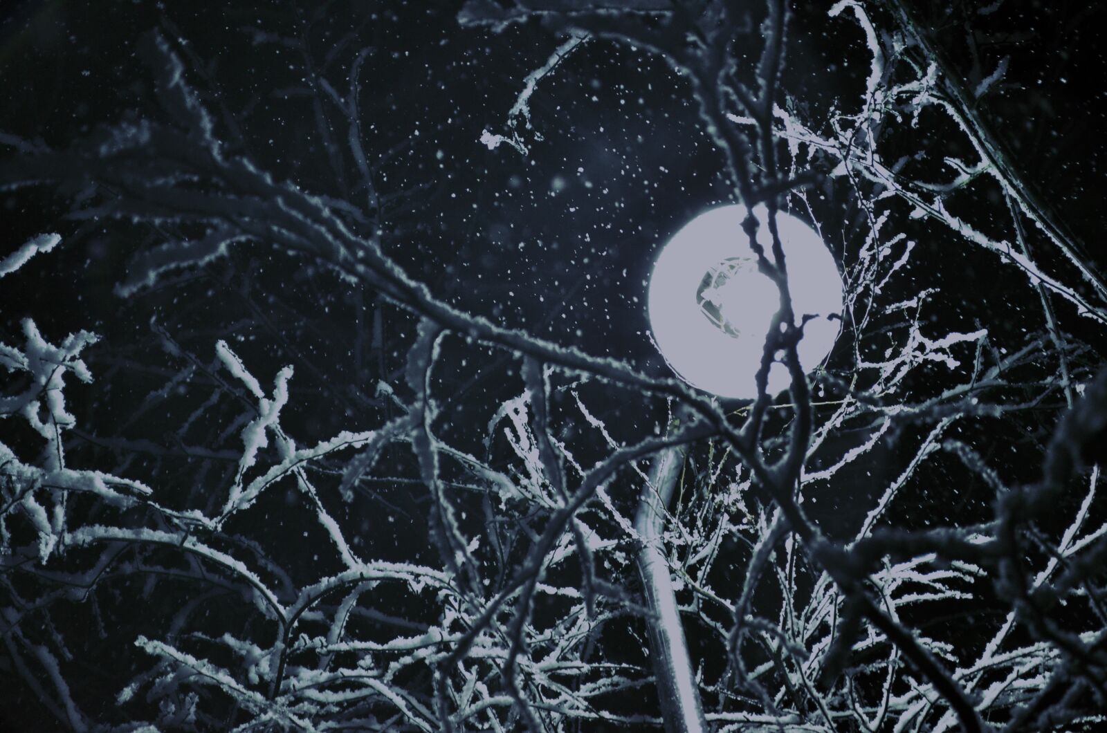 Nikon D5100 sample photo. Night, snow, road light photography